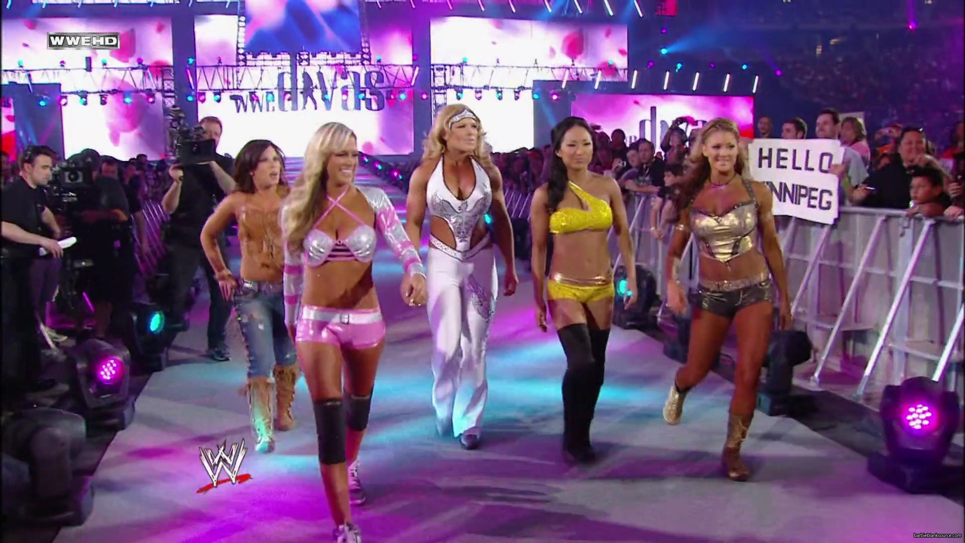 WWE_Wrestlemania_26_Alicia_Layla_Maryse_Michelle_Vickie_vs_Beth_Eve_Gail_Kelly_Mickie_mp41540.jpg