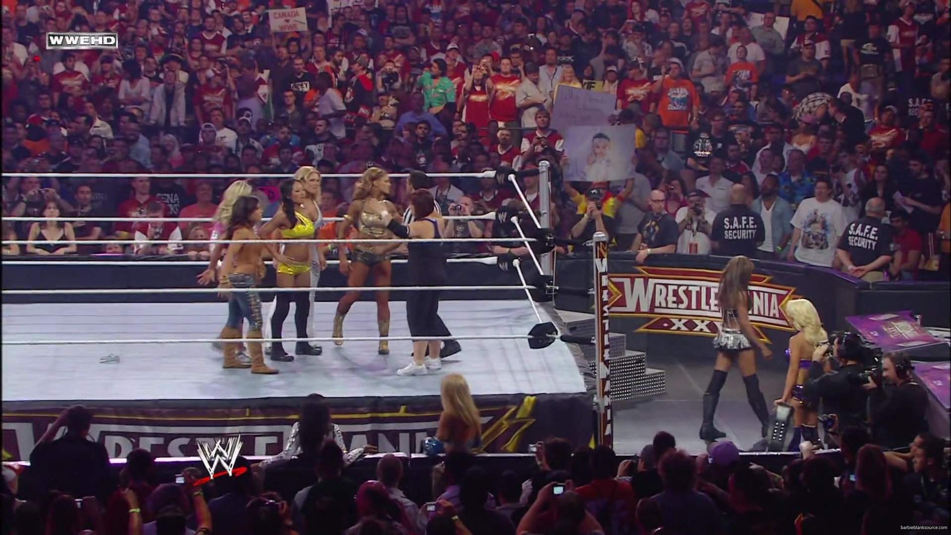 WWE_Wrestlemania_26_Alicia_Layla_Maryse_Michelle_Vickie_vs_Beth_Eve_Gail_Kelly_Mickie_mp41560.jpg
