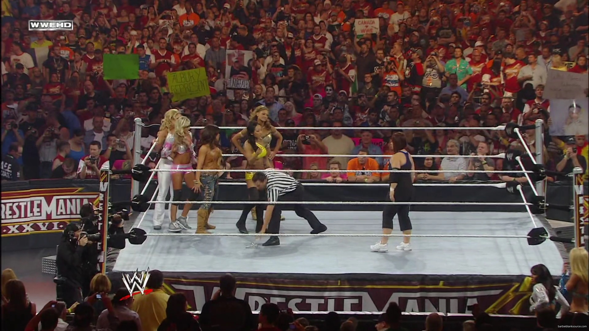WWE_Wrestlemania_26_Alicia_Layla_Maryse_Michelle_Vickie_vs_Beth_Eve_Gail_Kelly_Mickie_mp41565.jpg