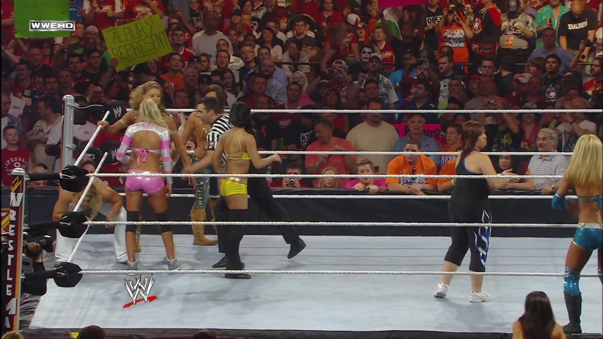 WWE_Wrestlemania_26_Alicia_Layla_Maryse_Michelle_Vickie_vs_Beth_Eve_Gail_Kelly_Mickie_mp41569.jpg