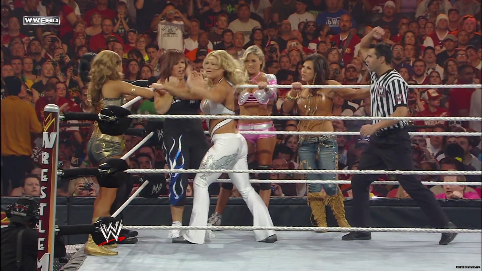 WWE_Wrestlemania_26_Alicia_Layla_Maryse_Michelle_Vickie_vs_Beth_Eve_Gail_Kelly_Mickie_mp41601.jpg