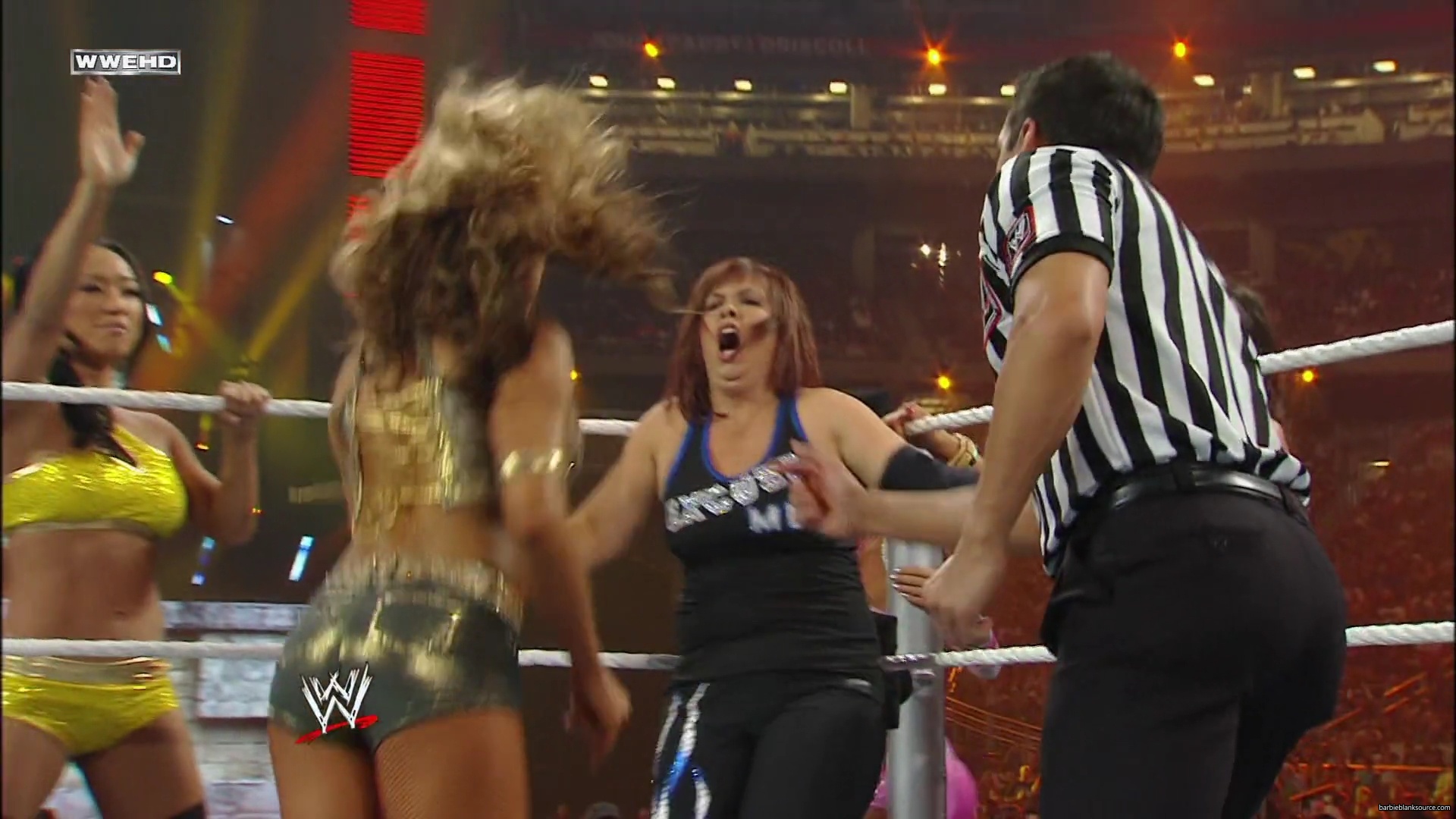 WWE_Wrestlemania_26_Alicia_Layla_Maryse_Michelle_Vickie_vs_Beth_Eve_Gail_Kelly_Mickie_mp41607.jpg