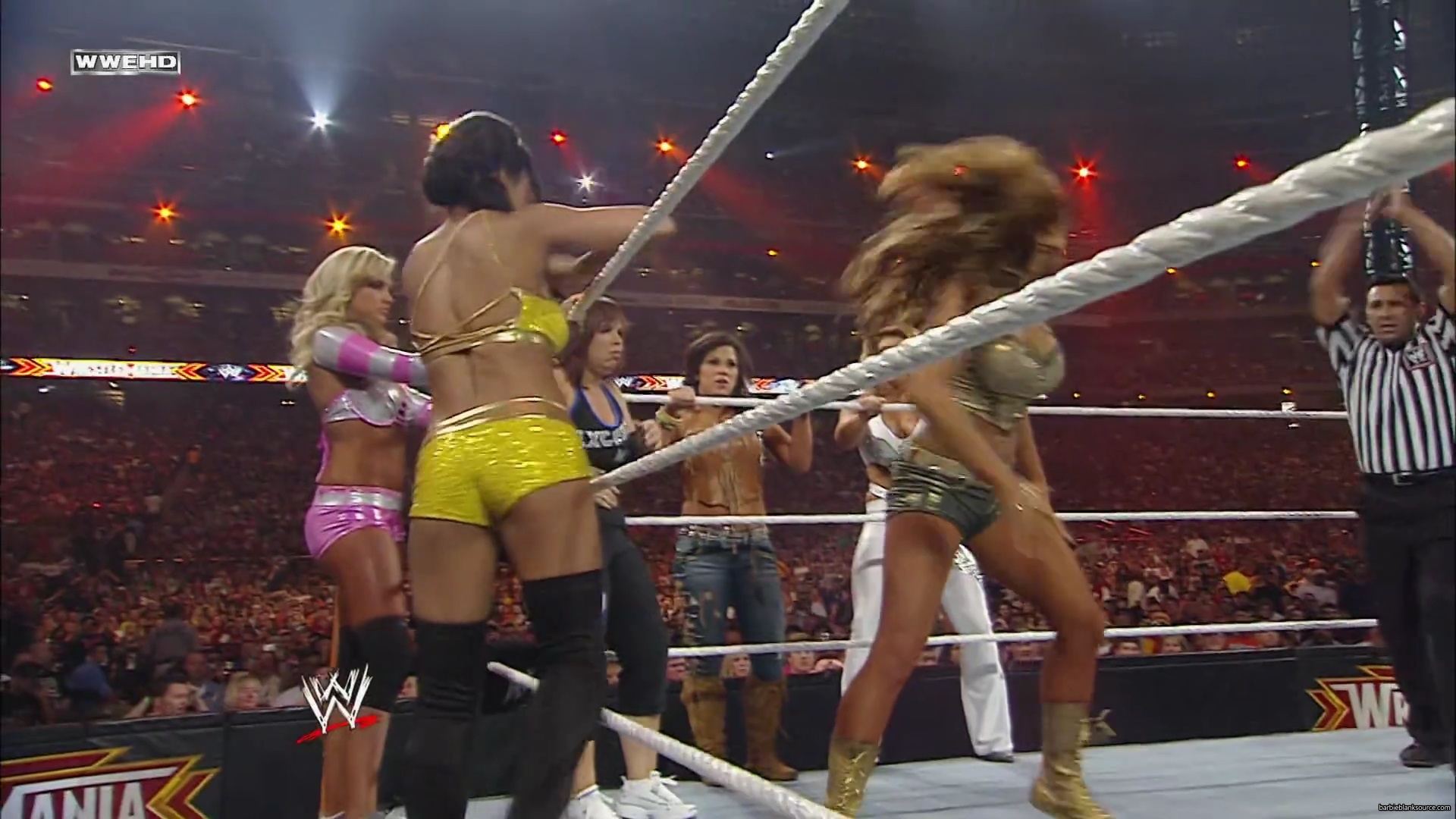 WWE_Wrestlemania_26_Alicia_Layla_Maryse_Michelle_Vickie_vs_Beth_Eve_Gail_Kelly_Mickie_mp41610.jpg