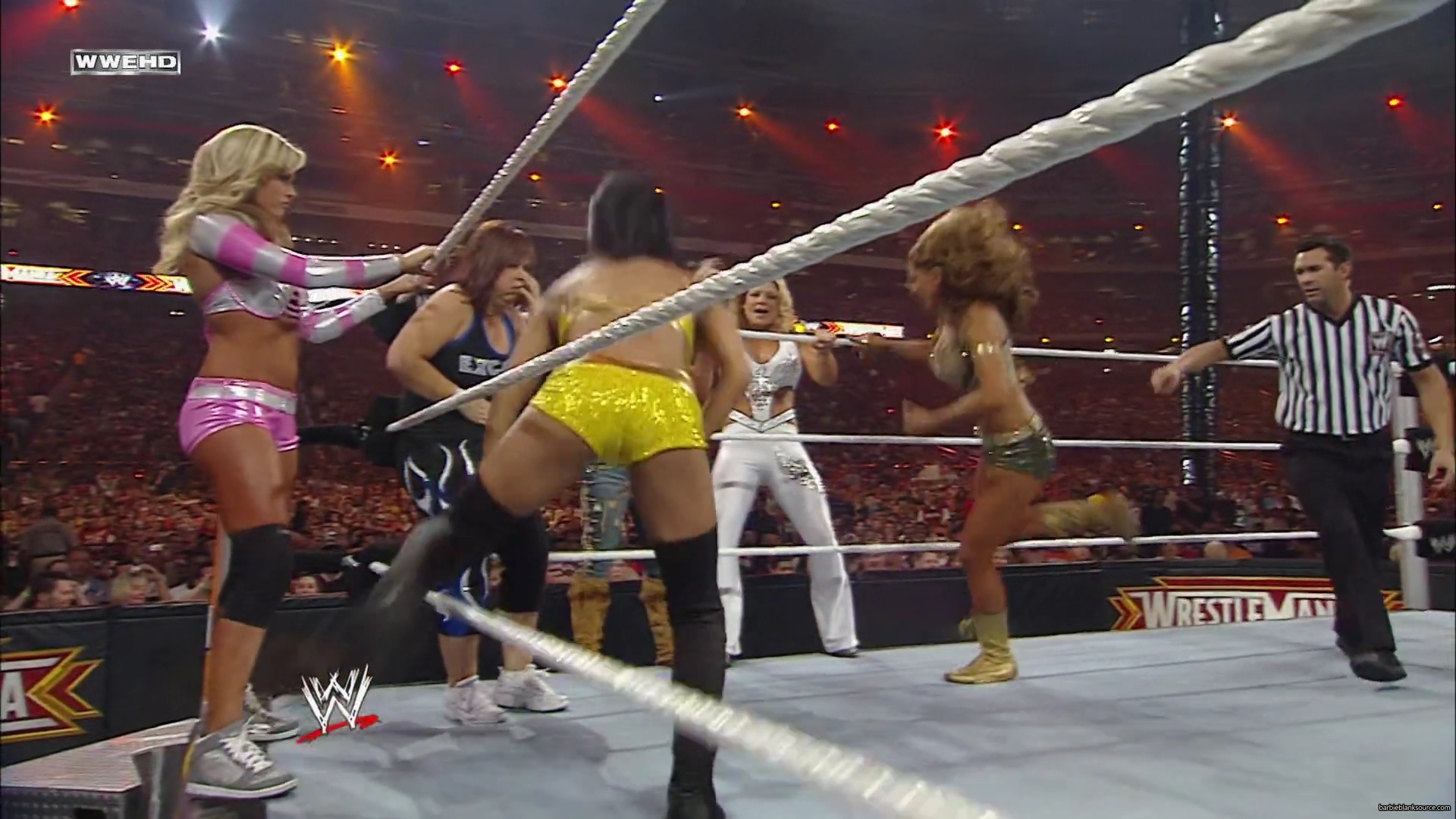 WWE_Wrestlemania_26_Alicia_Layla_Maryse_Michelle_Vickie_vs_Beth_Eve_Gail_Kelly_Mickie_mp41611.jpg