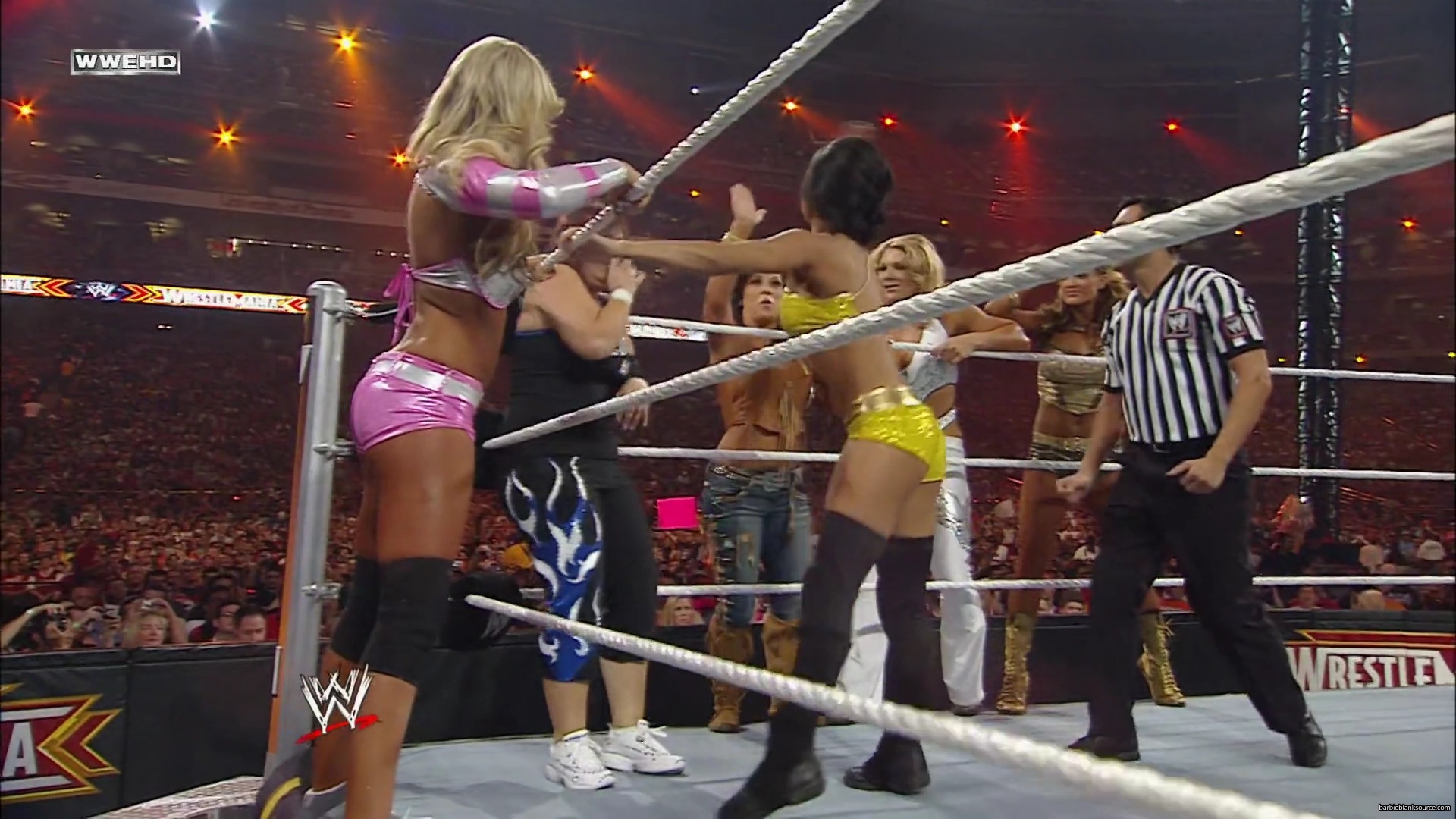 WWE_Wrestlemania_26_Alicia_Layla_Maryse_Michelle_Vickie_vs_Beth_Eve_Gail_Kelly_Mickie_mp41616.jpg