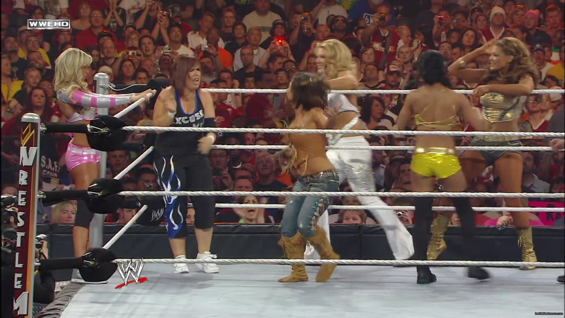 WWE_Wrestlemania_26_Alicia_Layla_Maryse_Michelle_Vickie_vs_Beth_Eve_Gail_Kelly_Mickie_mp41618.jpg