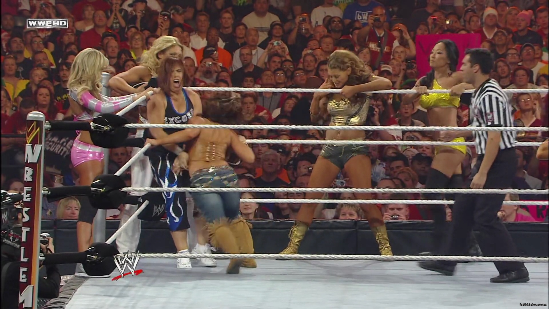 WWE_Wrestlemania_26_Alicia_Layla_Maryse_Michelle_Vickie_vs_Beth_Eve_Gail_Kelly_Mickie_mp41621.jpg
