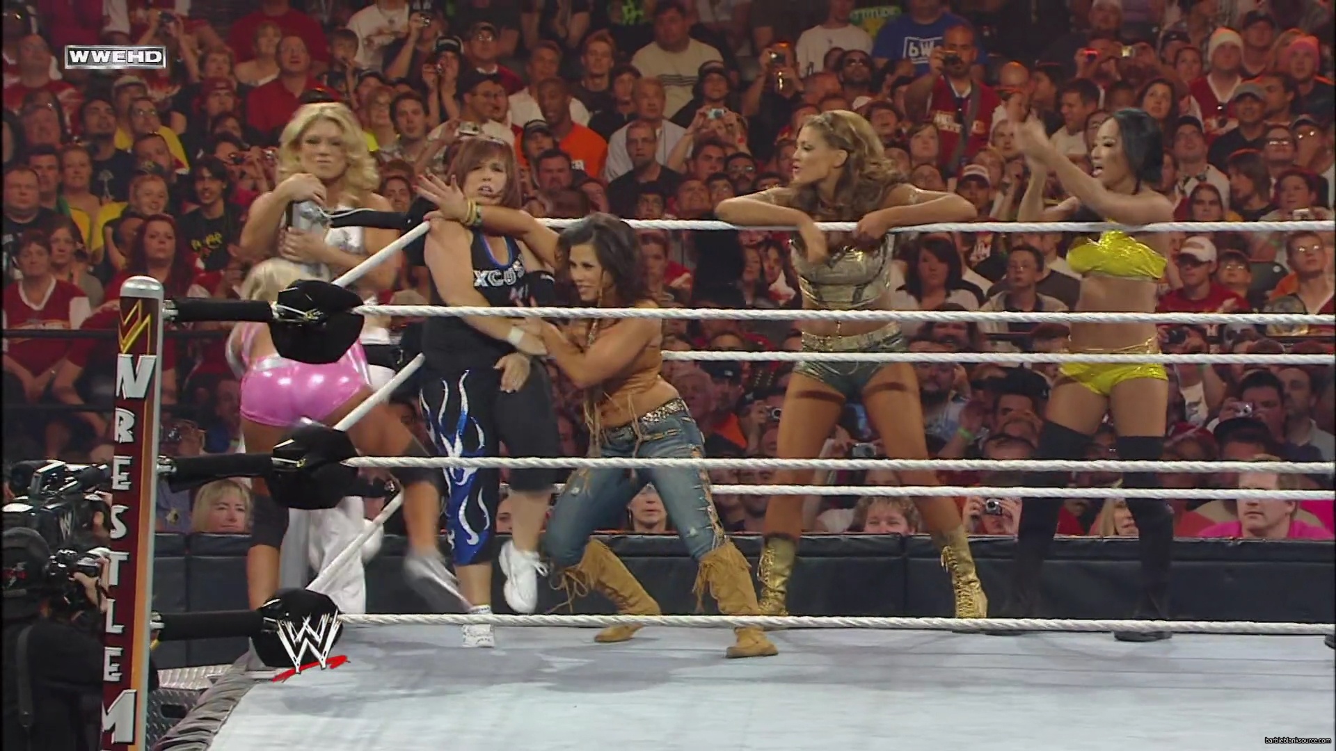 WWE_Wrestlemania_26_Alicia_Layla_Maryse_Michelle_Vickie_vs_Beth_Eve_Gail_Kelly_Mickie_mp41625.jpg