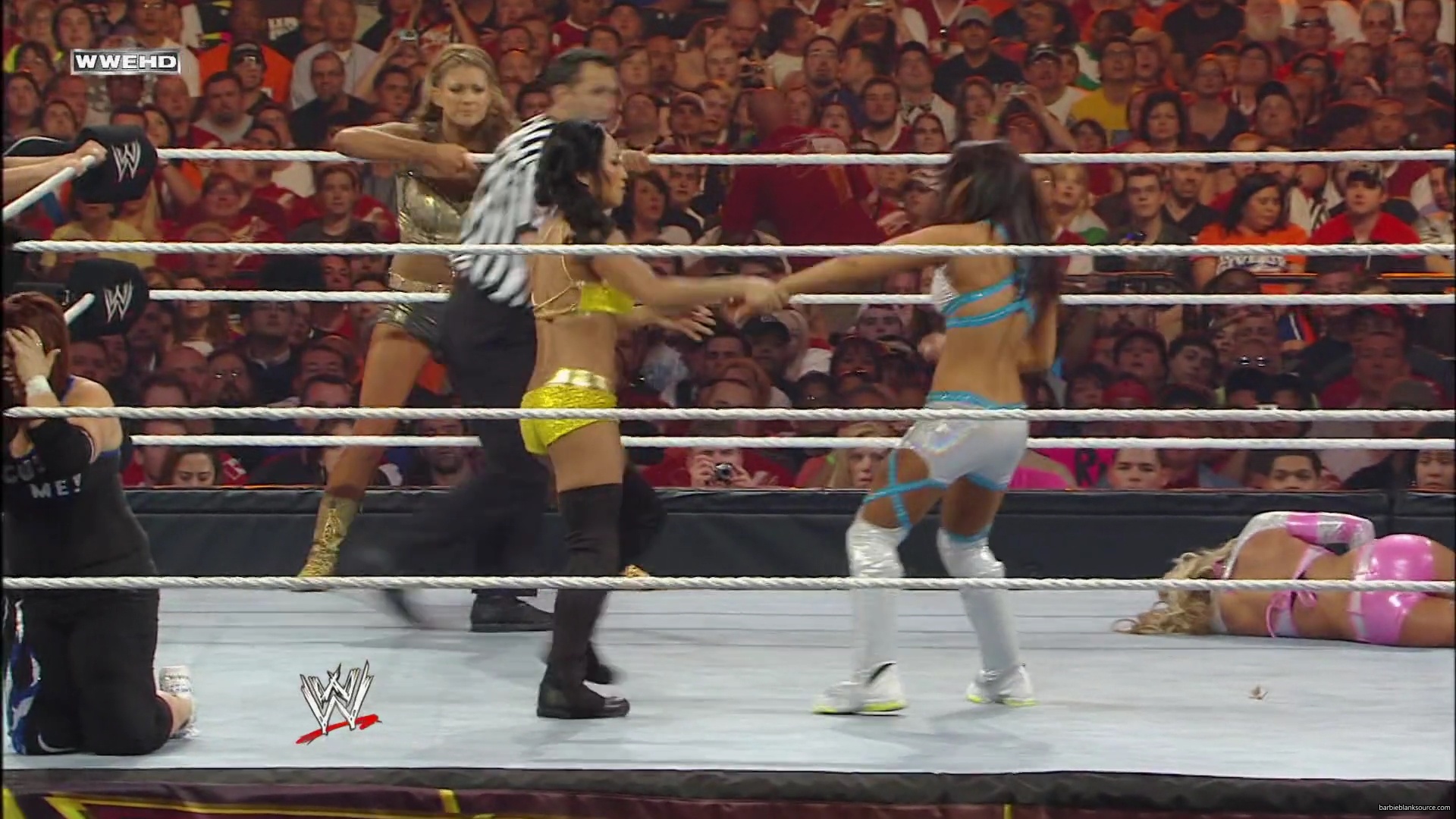 WWE_Wrestlemania_26_Alicia_Layla_Maryse_Michelle_Vickie_vs_Beth_Eve_Gail_Kelly_Mickie_mp41674.jpg