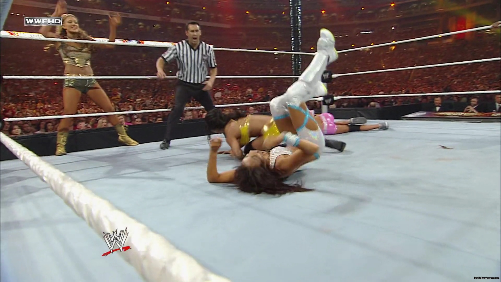 WWE_Wrestlemania_26_Alicia_Layla_Maryse_Michelle_Vickie_vs_Beth_Eve_Gail_Kelly_Mickie_mp41676.jpg