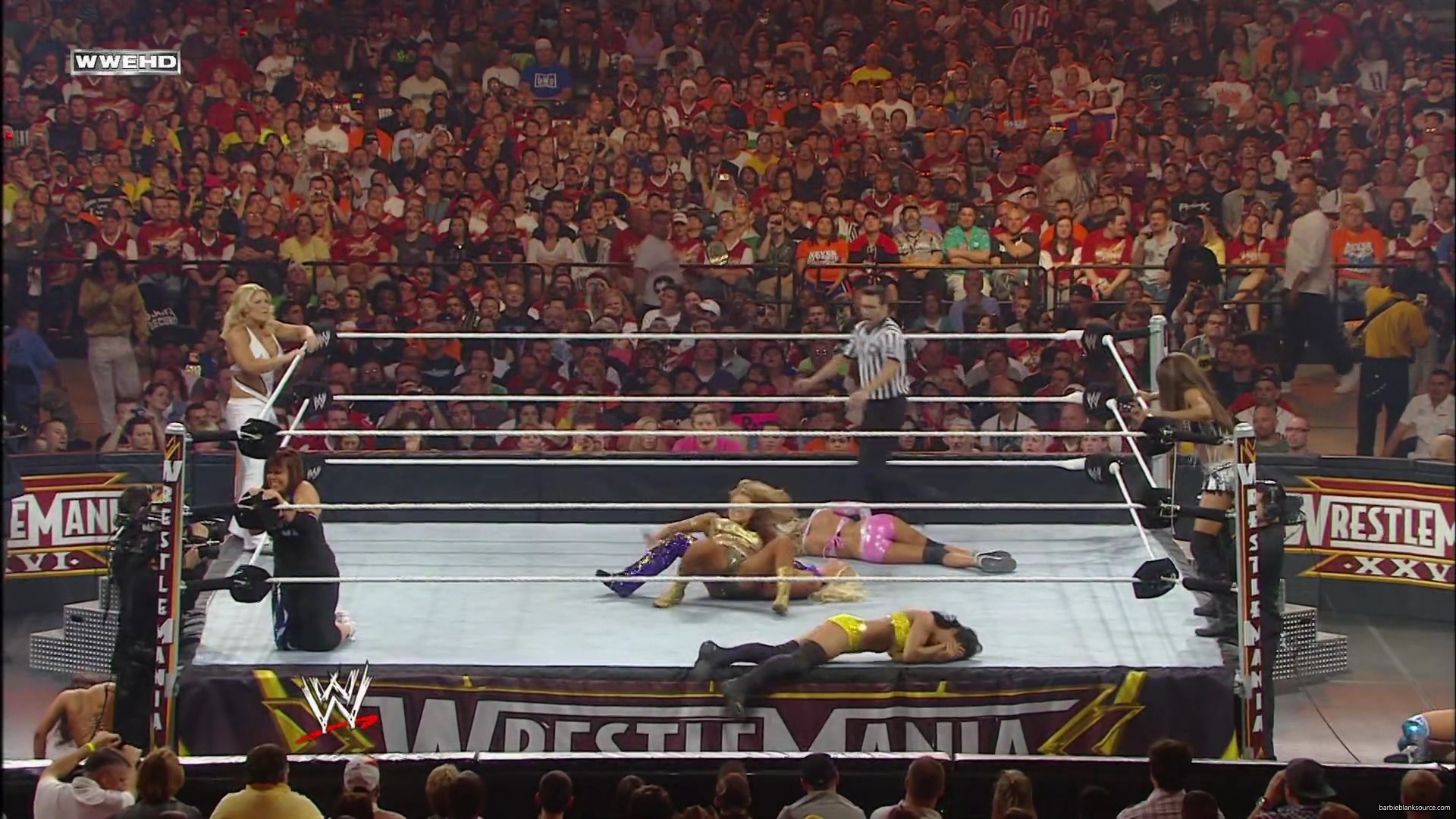 WWE_Wrestlemania_26_Alicia_Layla_Maryse_Michelle_Vickie_vs_Beth_Eve_Gail_Kelly_Mickie_mp41686.jpg