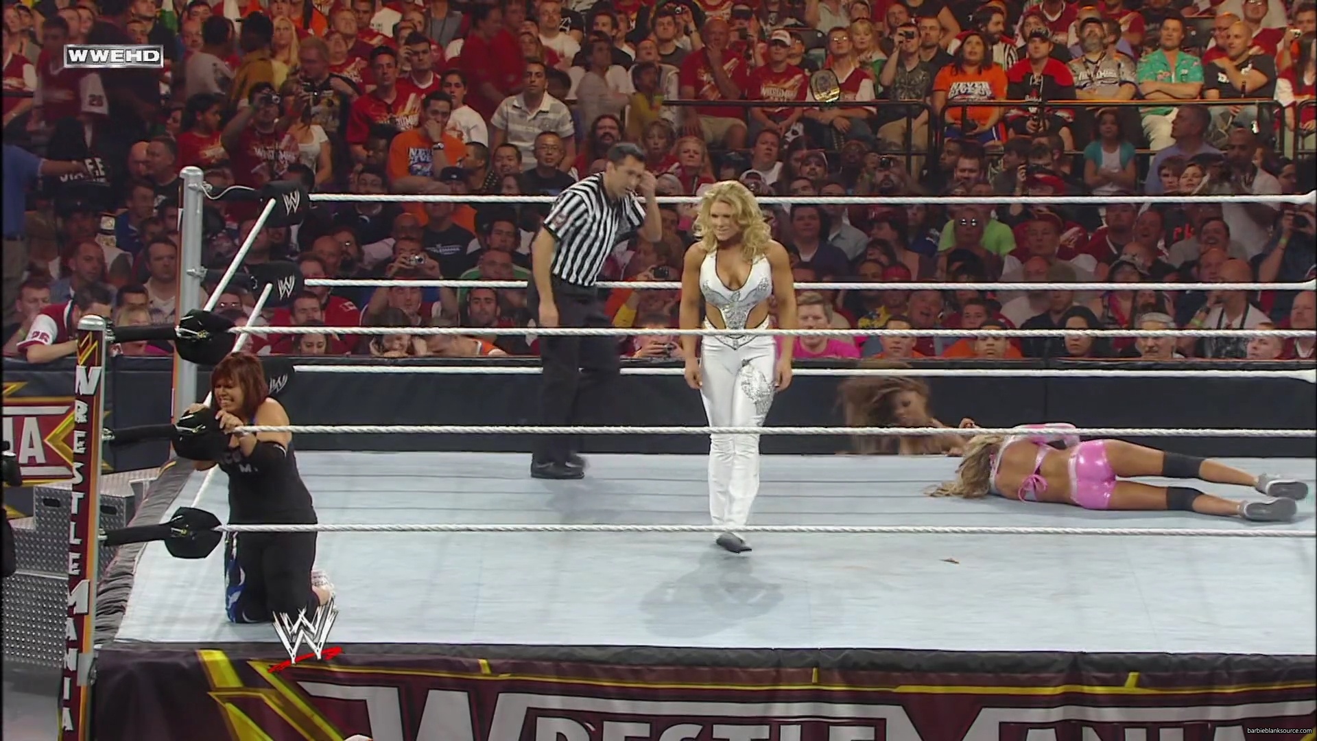 WWE_Wrestlemania_26_Alicia_Layla_Maryse_Michelle_Vickie_vs_Beth_Eve_Gail_Kelly_Mickie_mp41709.jpg