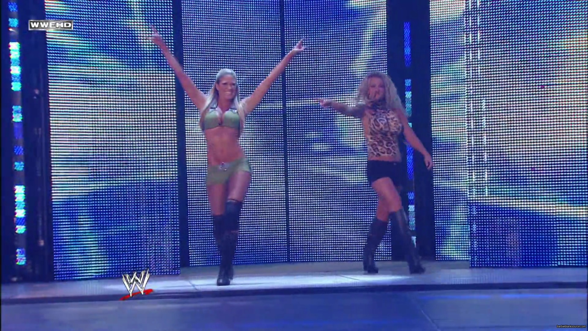 WWE_Money_In_The_Bank_2010_Kelly_vs_Layla_mp40181.jpg