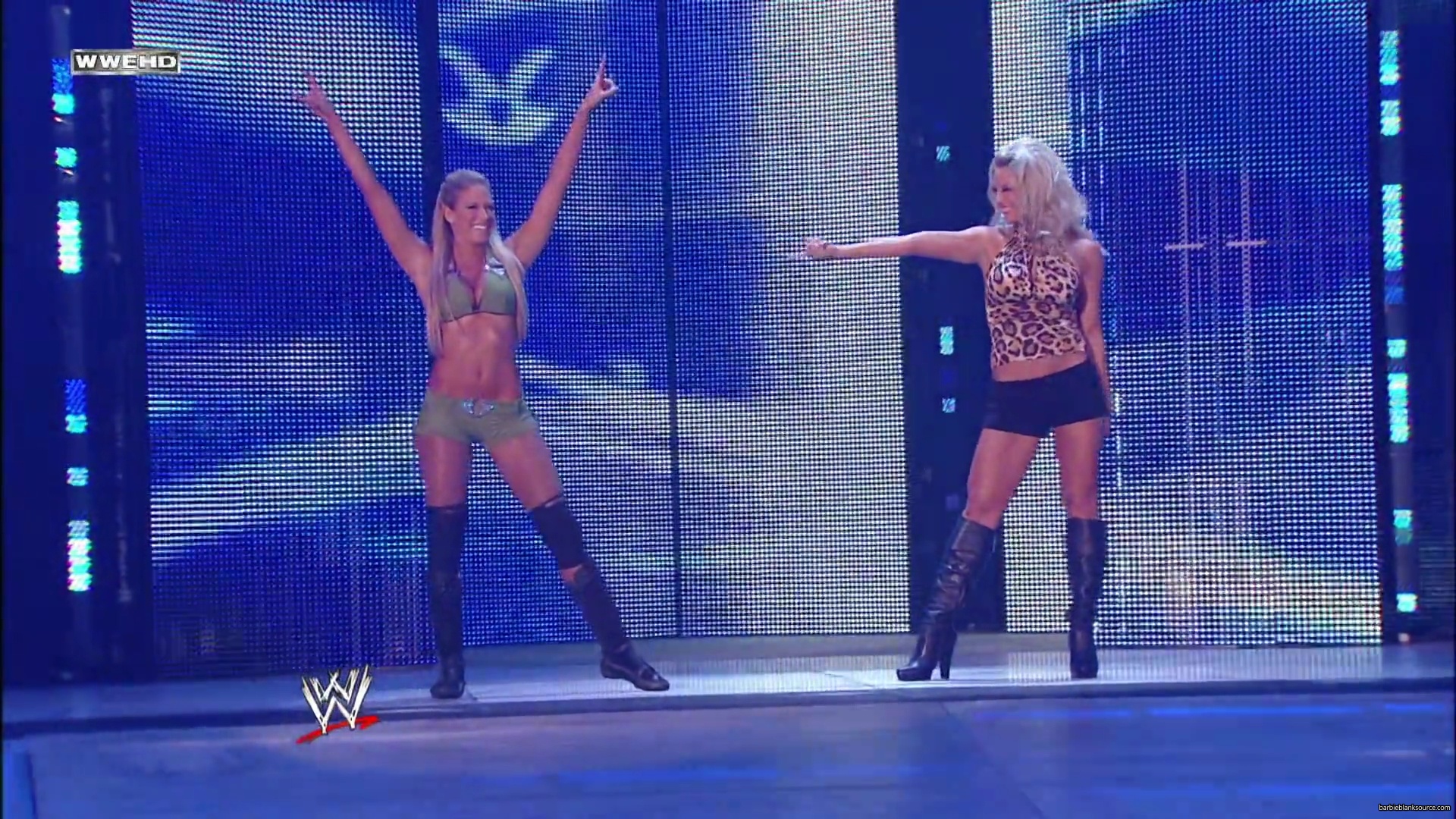 WWE_Money_In_The_Bank_2010_Kelly_vs_Layla_mp40185.jpg