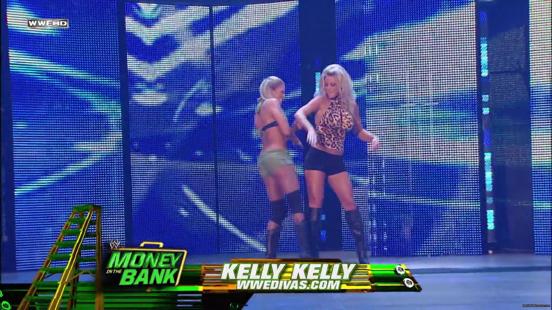 WWE_Money_In_The_Bank_2010_Kelly_vs_Layla_mp40189.jpg