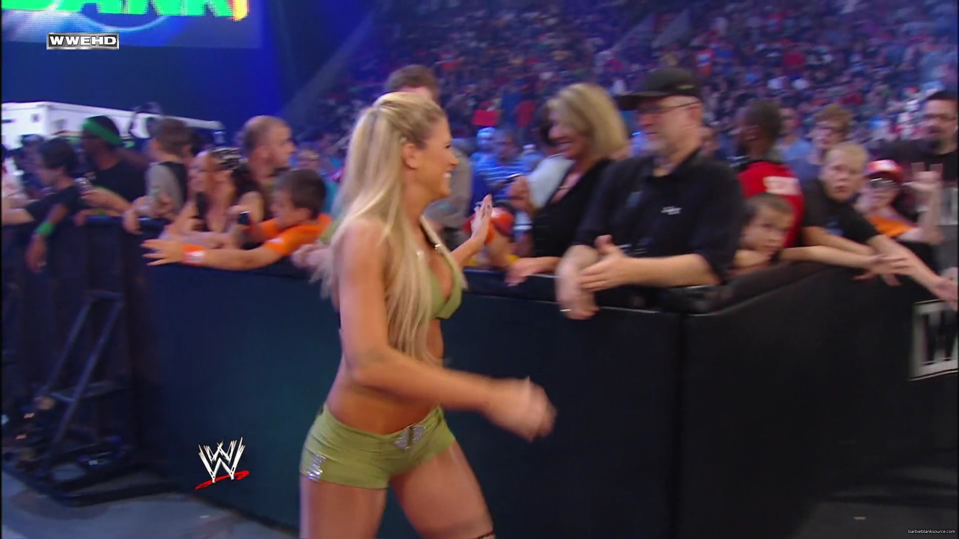 WWE_Money_In_The_Bank_2010_Kelly_vs_Layla_mp40199.jpg