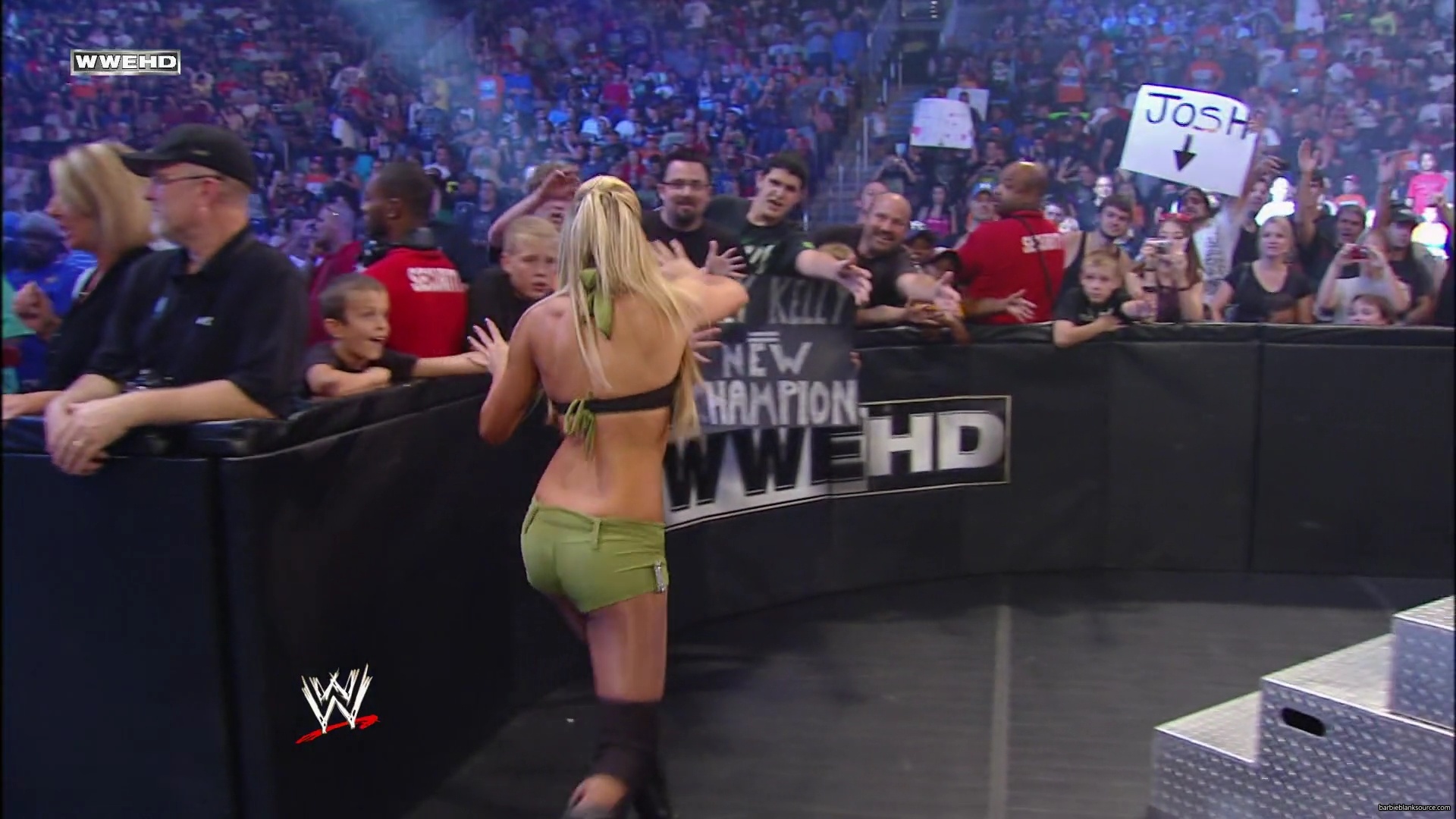 WWE_Money_In_The_Bank_2010_Kelly_vs_Layla_mp40200.jpg