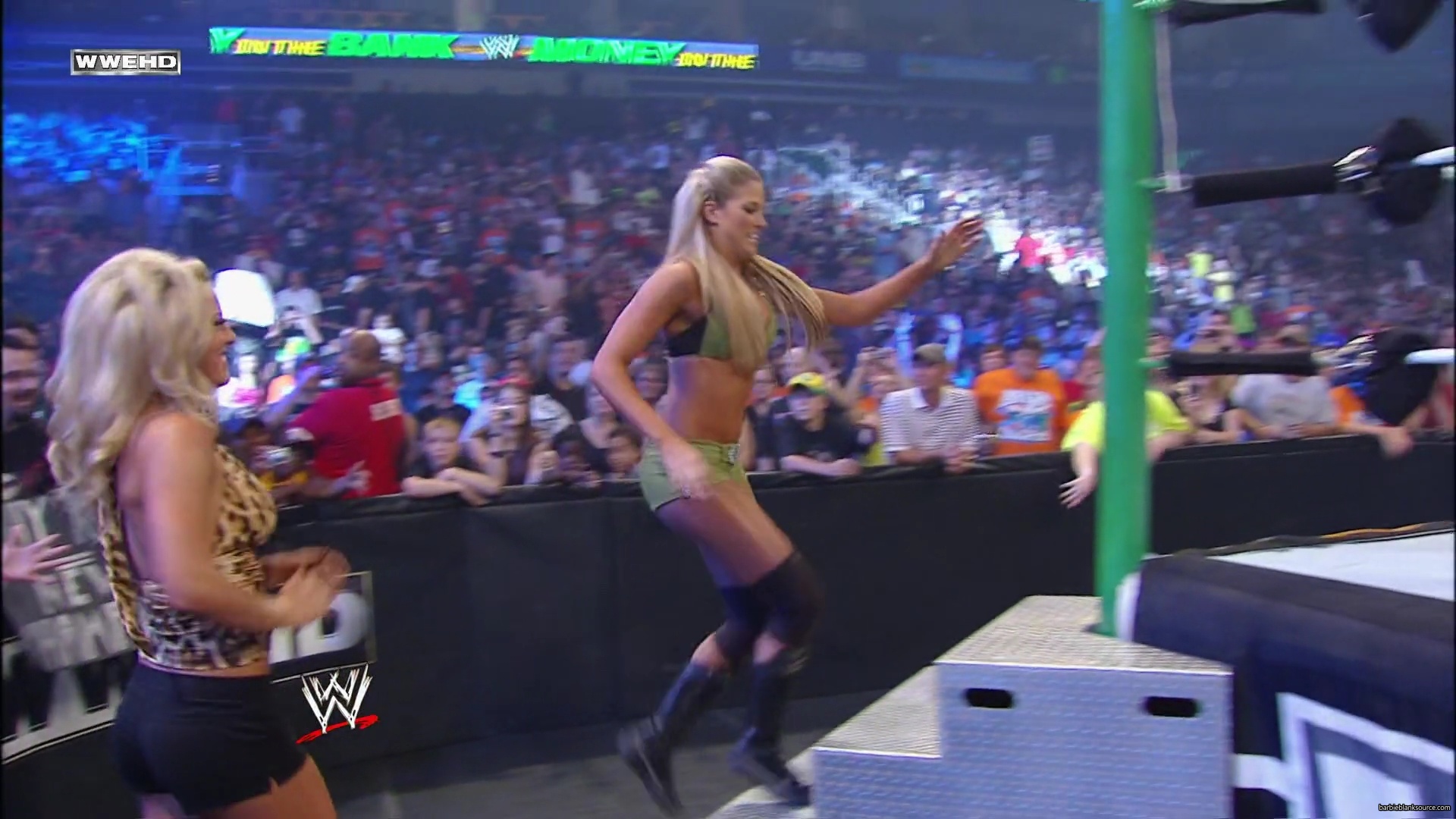 WWE_Money_In_The_Bank_2010_Kelly_vs_Layla_mp40204.jpg