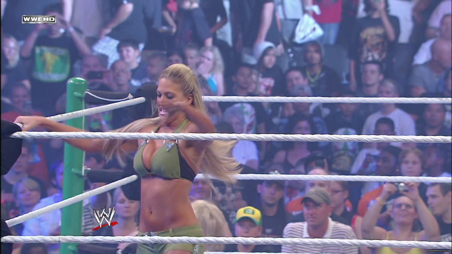 WWE_Money_In_The_Bank_2010_Kelly_vs_Layla_mp40210.jpg