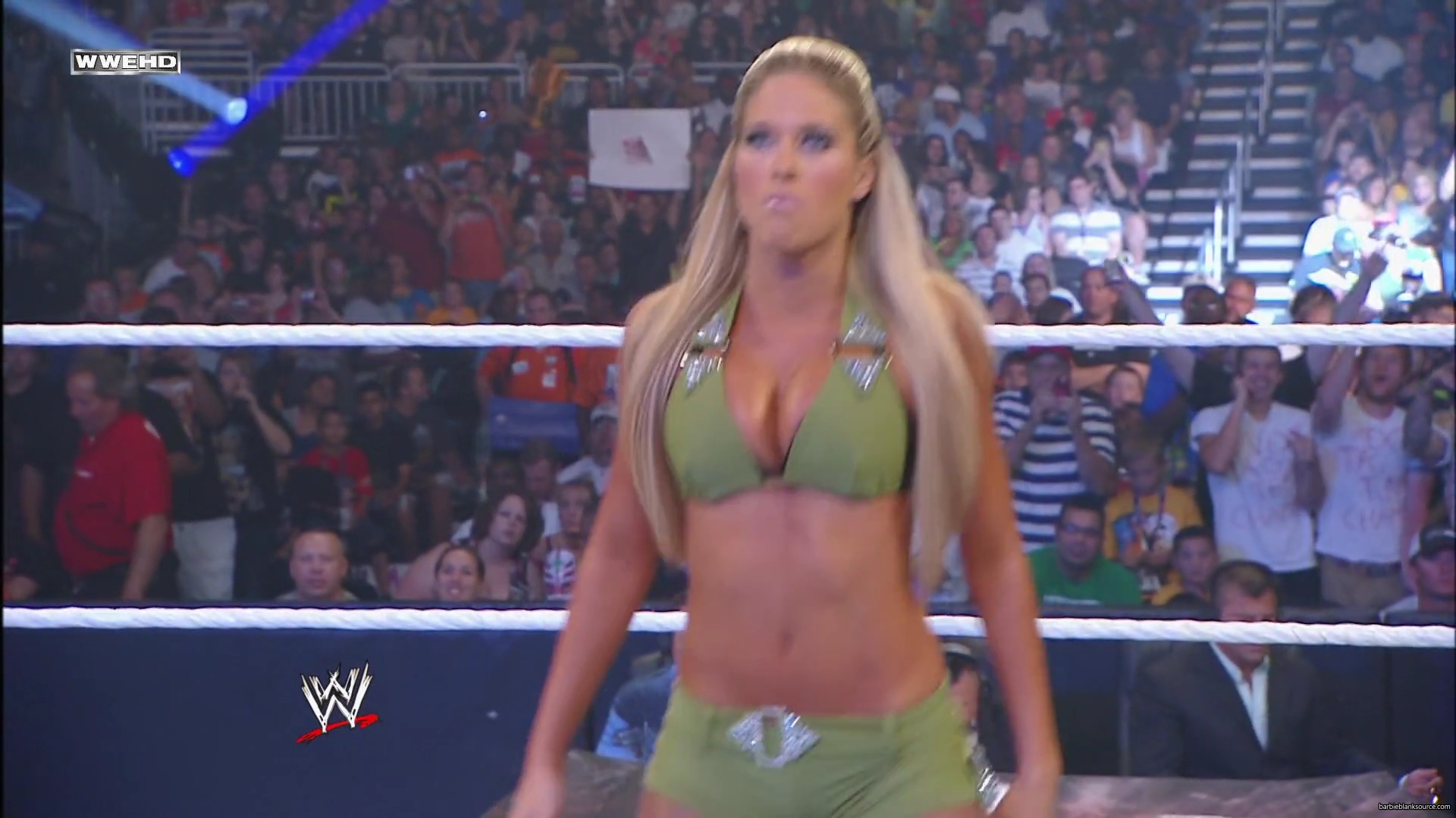 WWE_Money_In_The_Bank_2010_Kelly_vs_Layla_mp40255.jpg