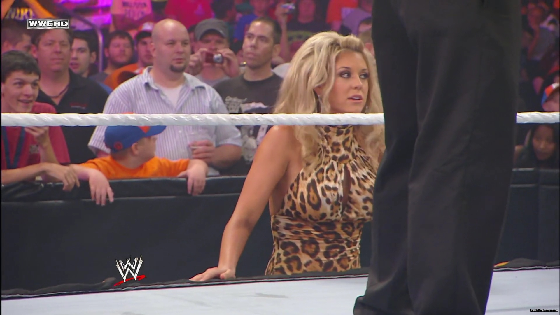 WWE_Money_In_The_Bank_2010_Kelly_vs_Layla_mp40280.jpg