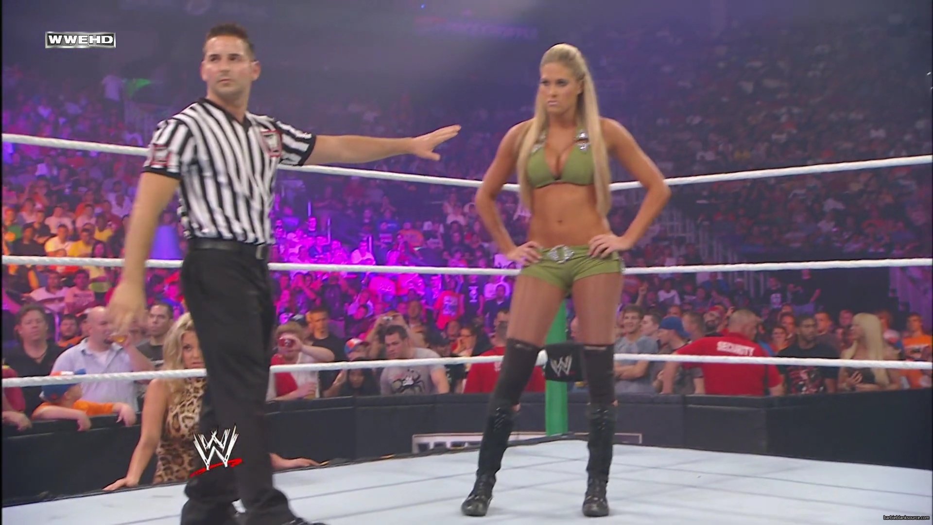 WWE_Money_In_The_Bank_2010_Kelly_vs_Layla_mp40282.jpg