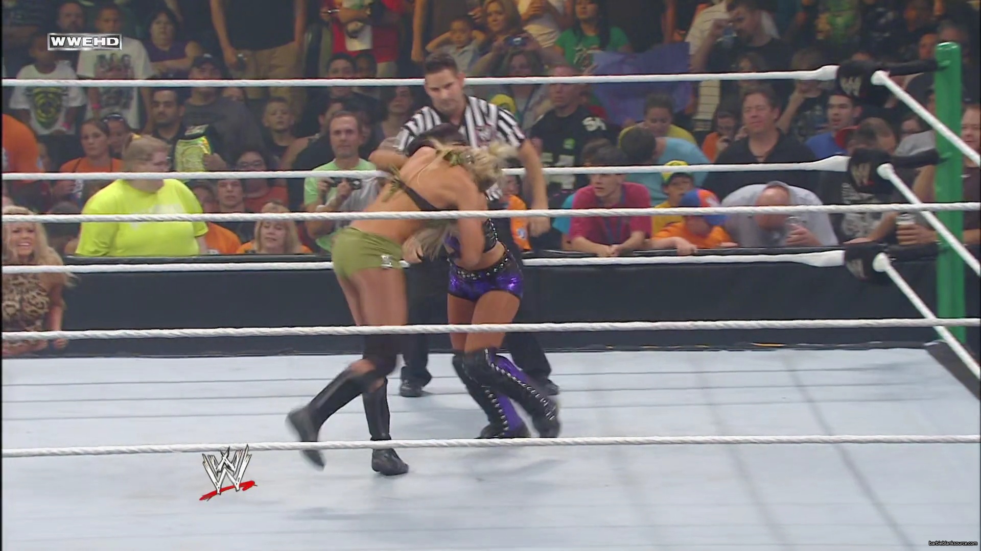 WWE_Money_In_The_Bank_2010_Kelly_vs_Layla_mp40324.jpg