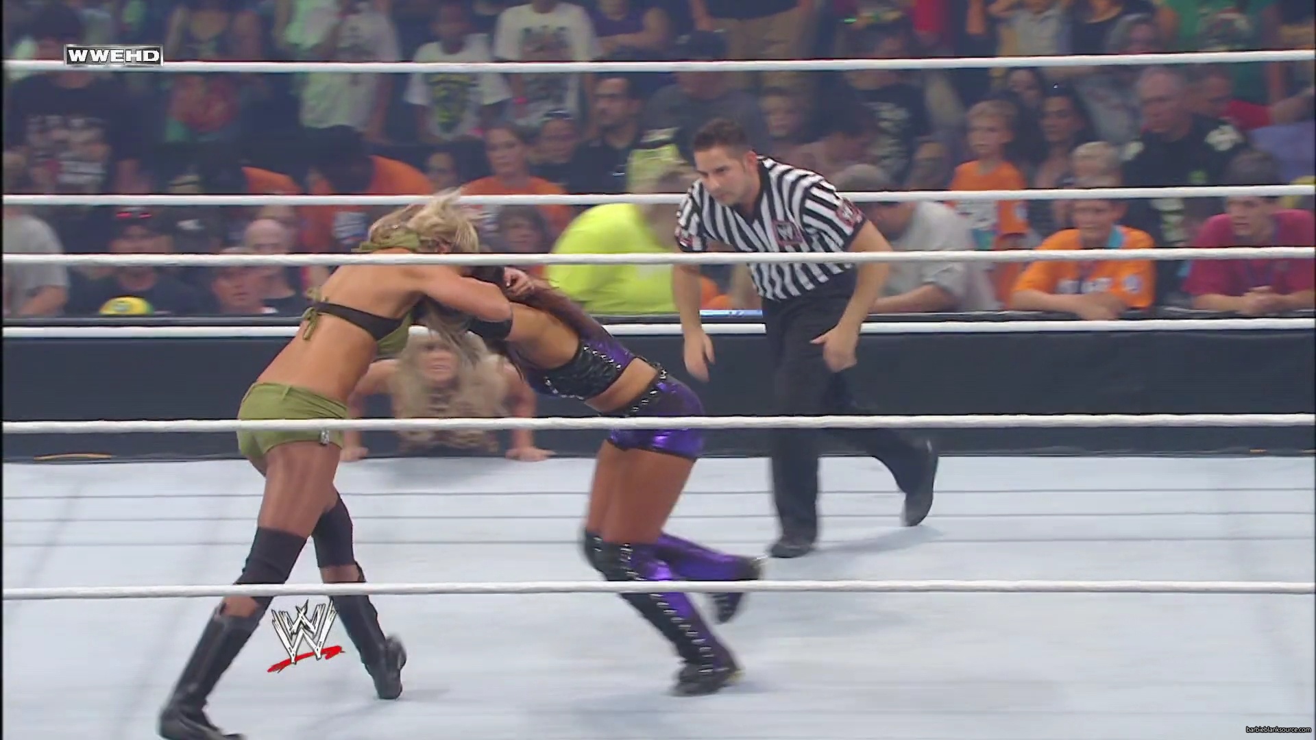 WWE_Money_In_The_Bank_2010_Kelly_vs_Layla_mp40325.jpg