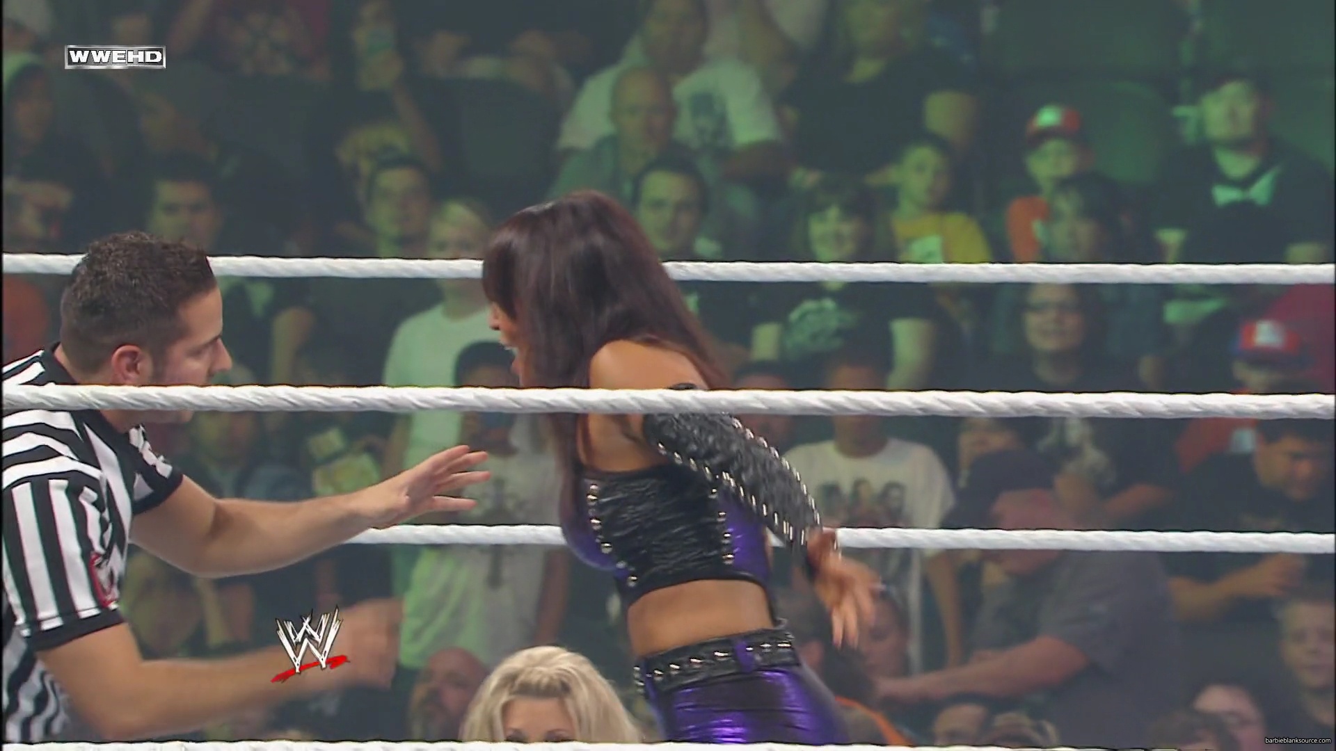 WWE_Money_In_The_Bank_2010_Kelly_vs_Layla_mp40329.jpg