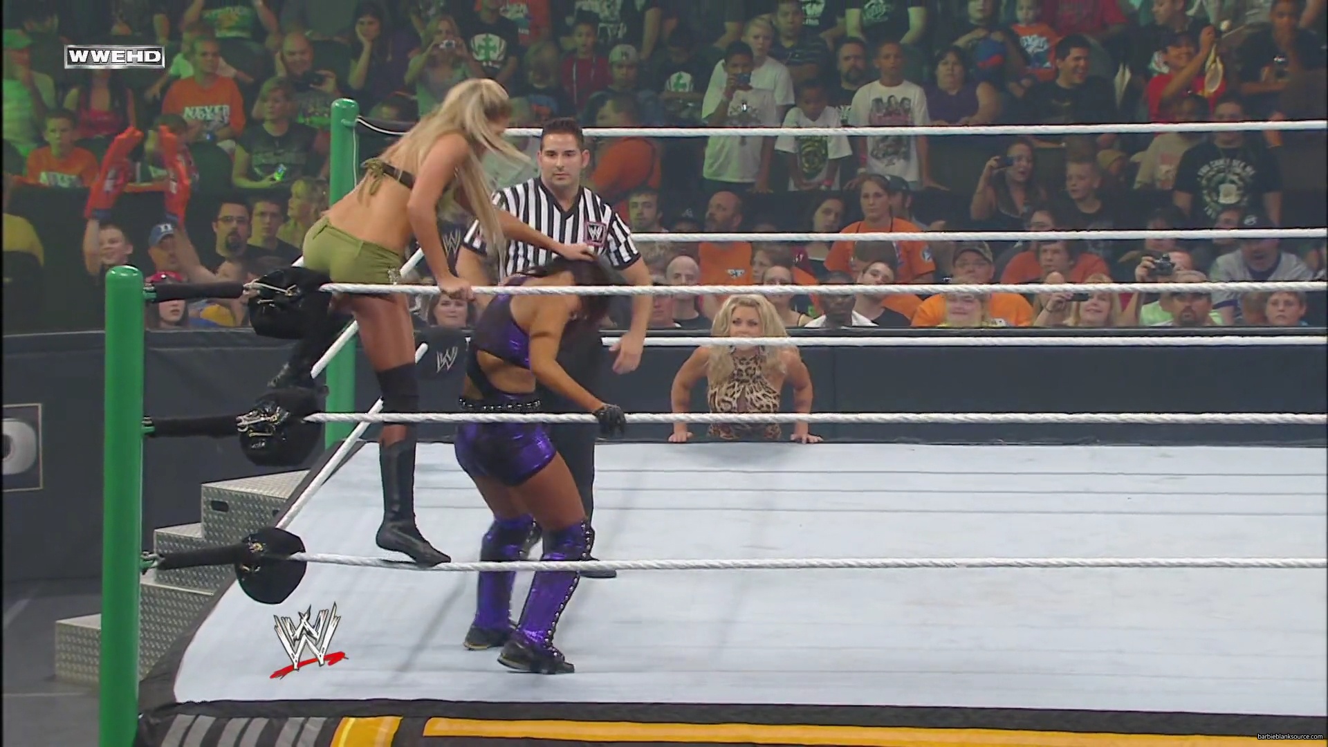 WWE_Money_In_The_Bank_2010_Kelly_vs_Layla_mp40367.jpg