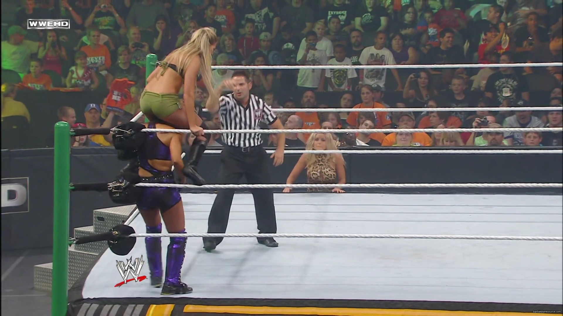 WWE_Money_In_The_Bank_2010_Kelly_vs_Layla_mp40368.jpg