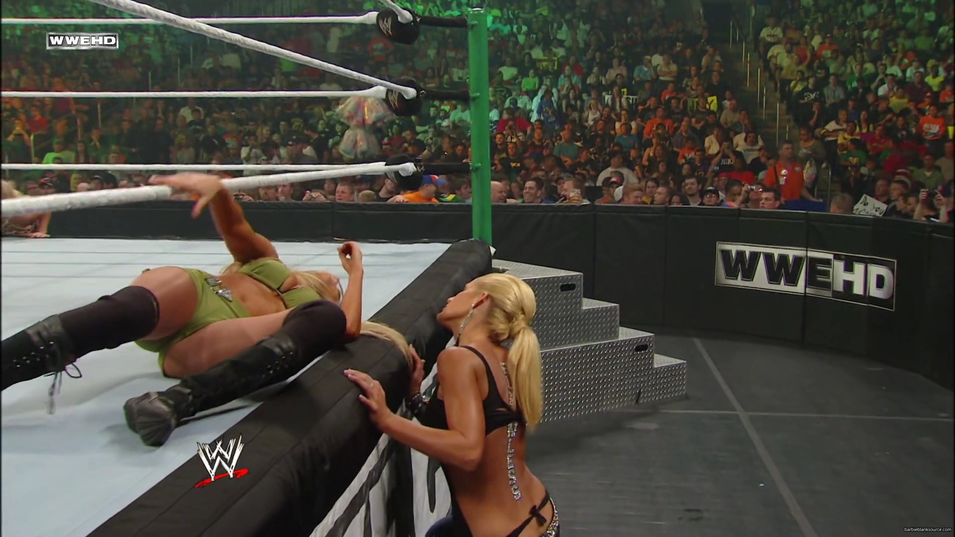 WWE_Money_In_The_Bank_2010_Kelly_vs_Layla_mp40444.jpg