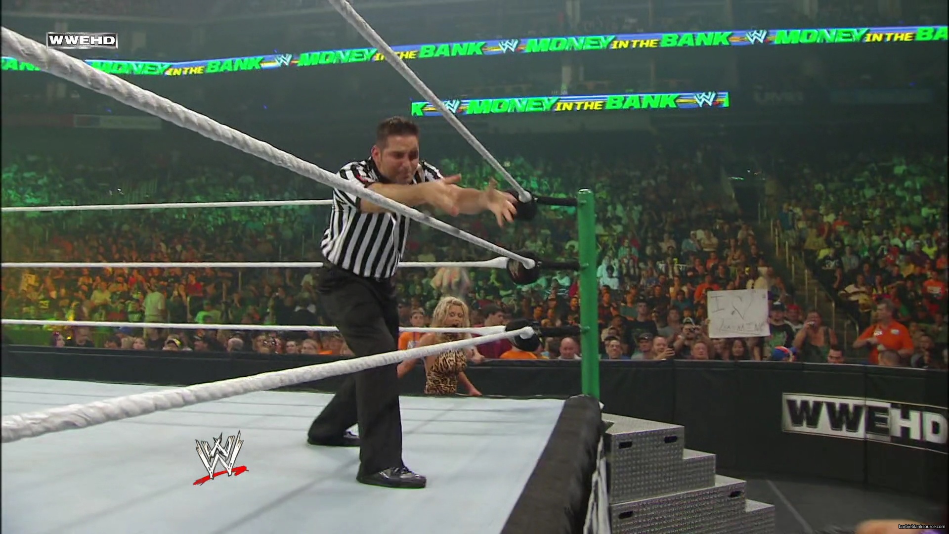 WWE_Money_In_The_Bank_2010_Kelly_vs_Layla_mp40454.jpg