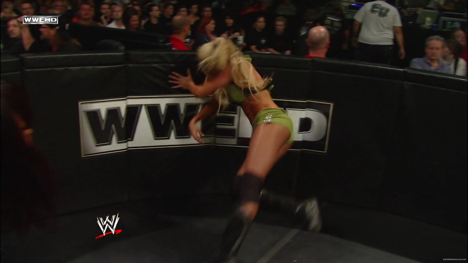 WWE_Money_In_The_Bank_2010_Kelly_vs_Layla_mp40458.jpg