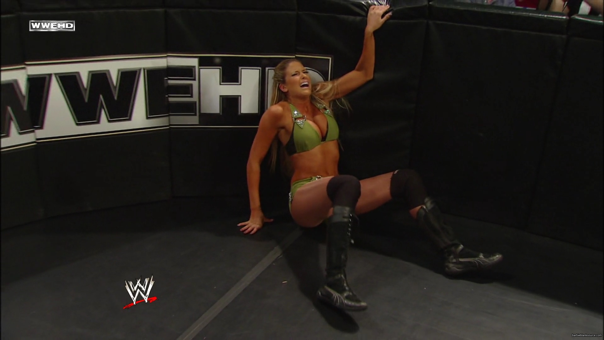 WWE_Money_In_The_Bank_2010_Kelly_vs_Layla_mp40462.jpg