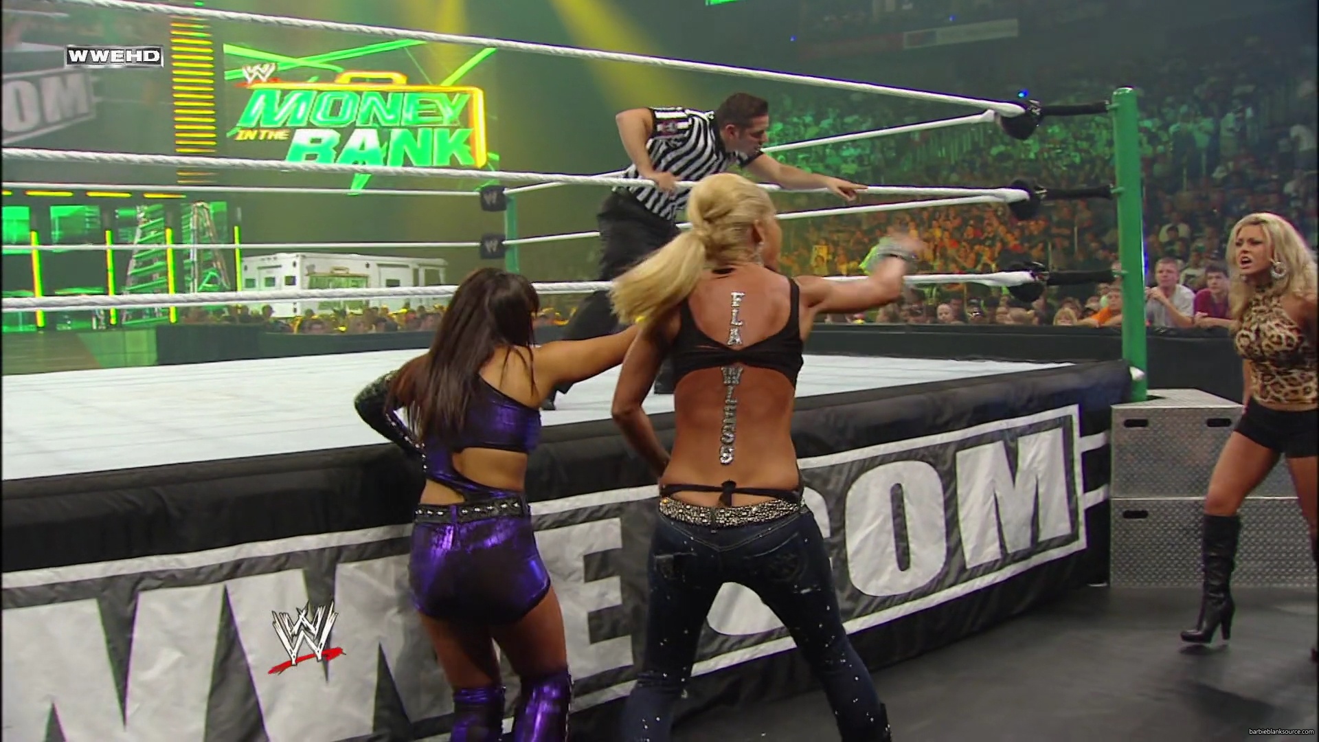 WWE_Money_In_The_Bank_2010_Kelly_vs_Layla_mp40464.jpg