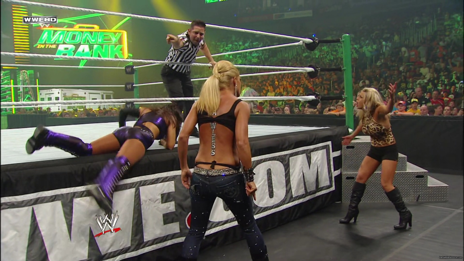 WWE_Money_In_The_Bank_2010_Kelly_vs_Layla_mp40465.jpg