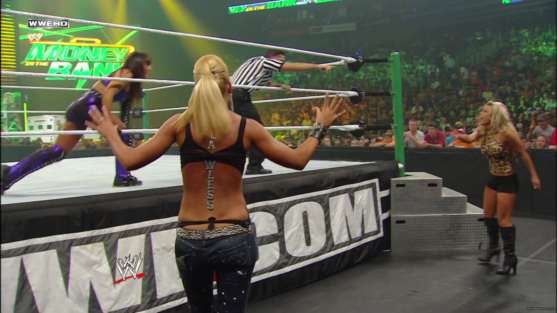 WWE_Money_In_The_Bank_2010_Kelly_vs_Layla_mp40467.jpg