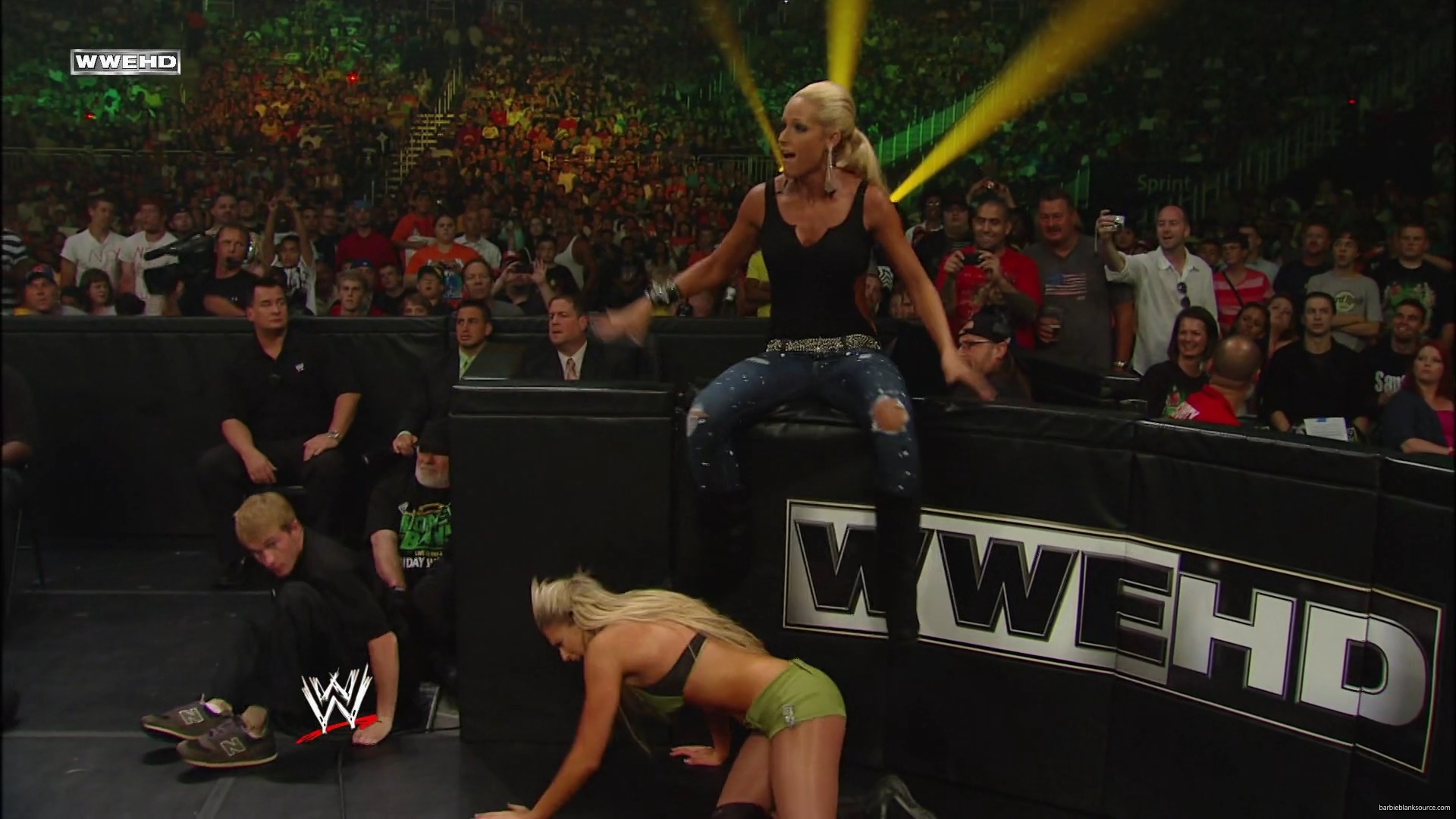 WWE_Money_In_The_Bank_2010_Kelly_vs_Layla_mp40481.jpg
