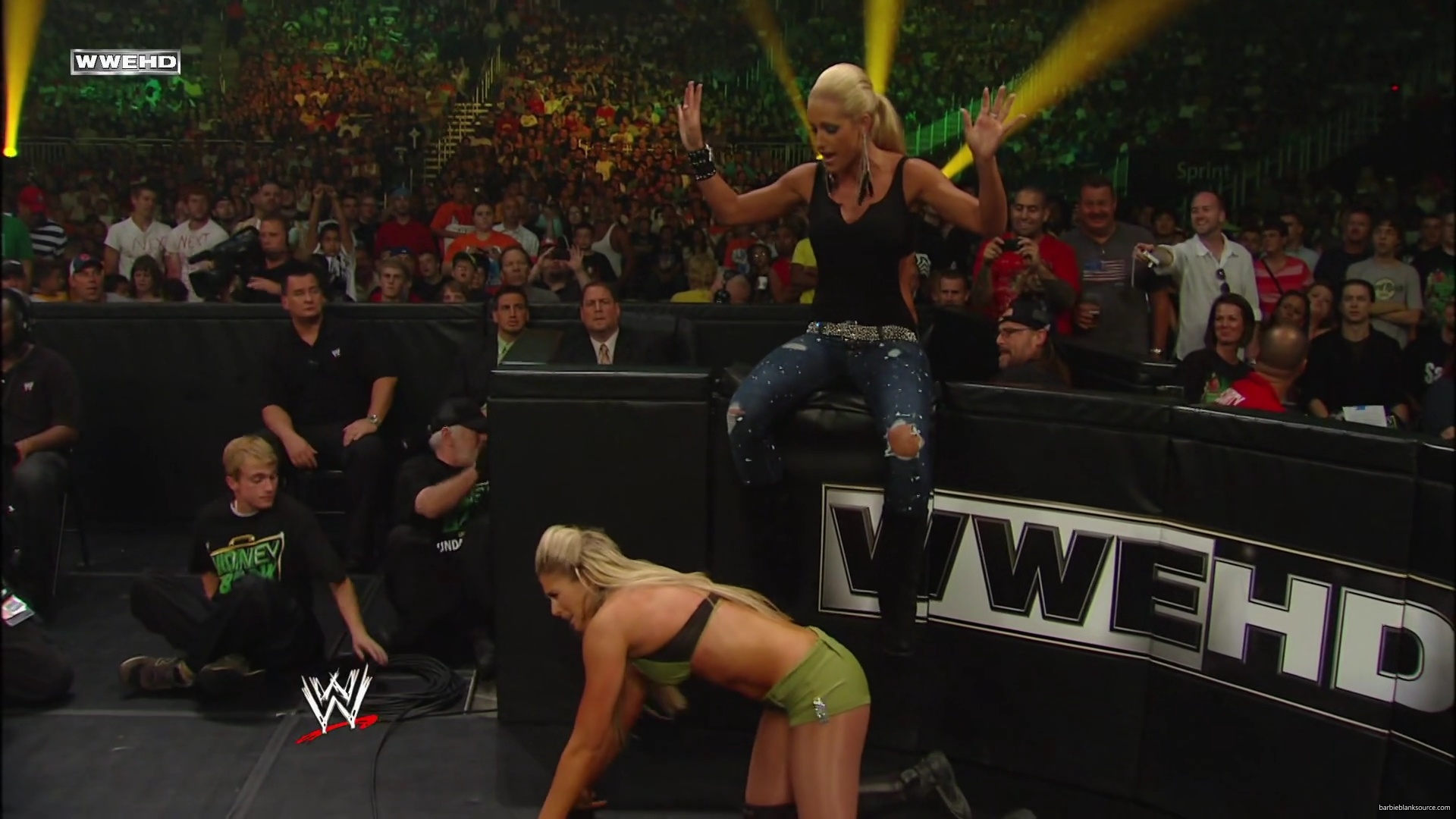 WWE_Money_In_The_Bank_2010_Kelly_vs_Layla_mp40482.jpg