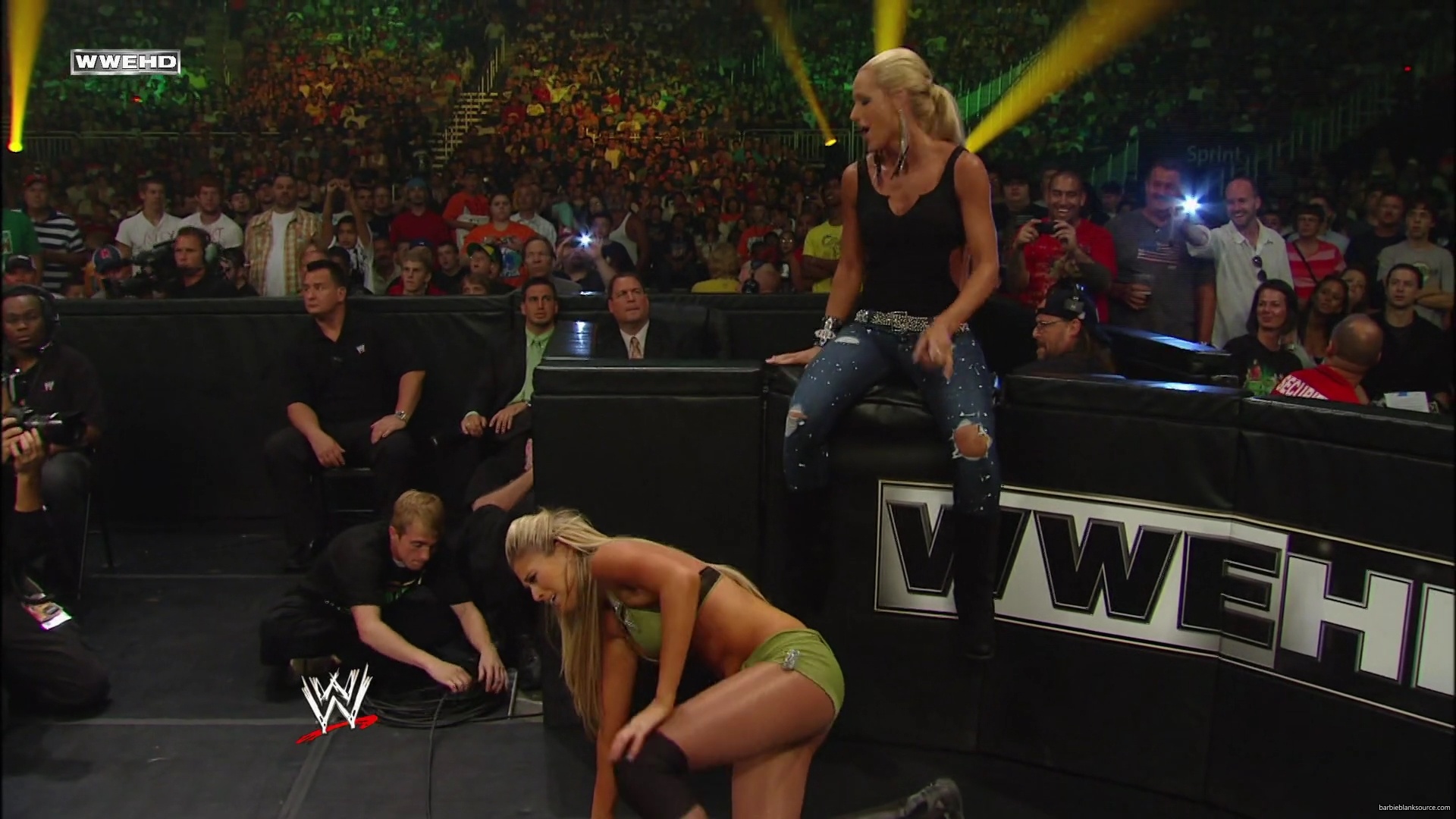 WWE_Money_In_The_Bank_2010_Kelly_vs_Layla_mp40484.jpg
