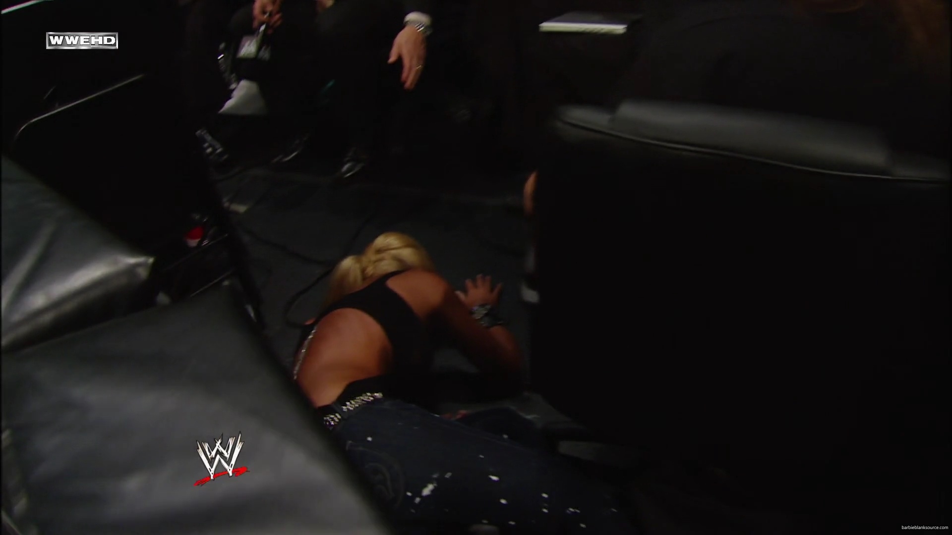 WWE_Money_In_The_Bank_2010_Kelly_vs_Layla_mp40490.jpg