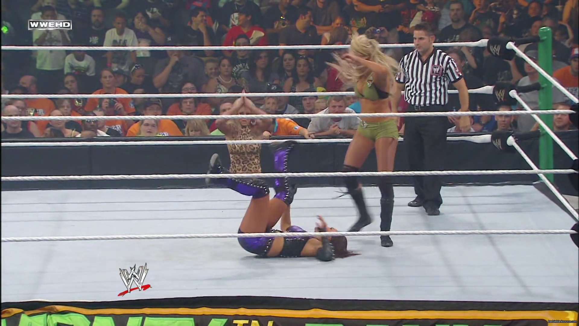 WWE_Money_In_The_Bank_2010_Kelly_vs_Layla_mp40505.jpg