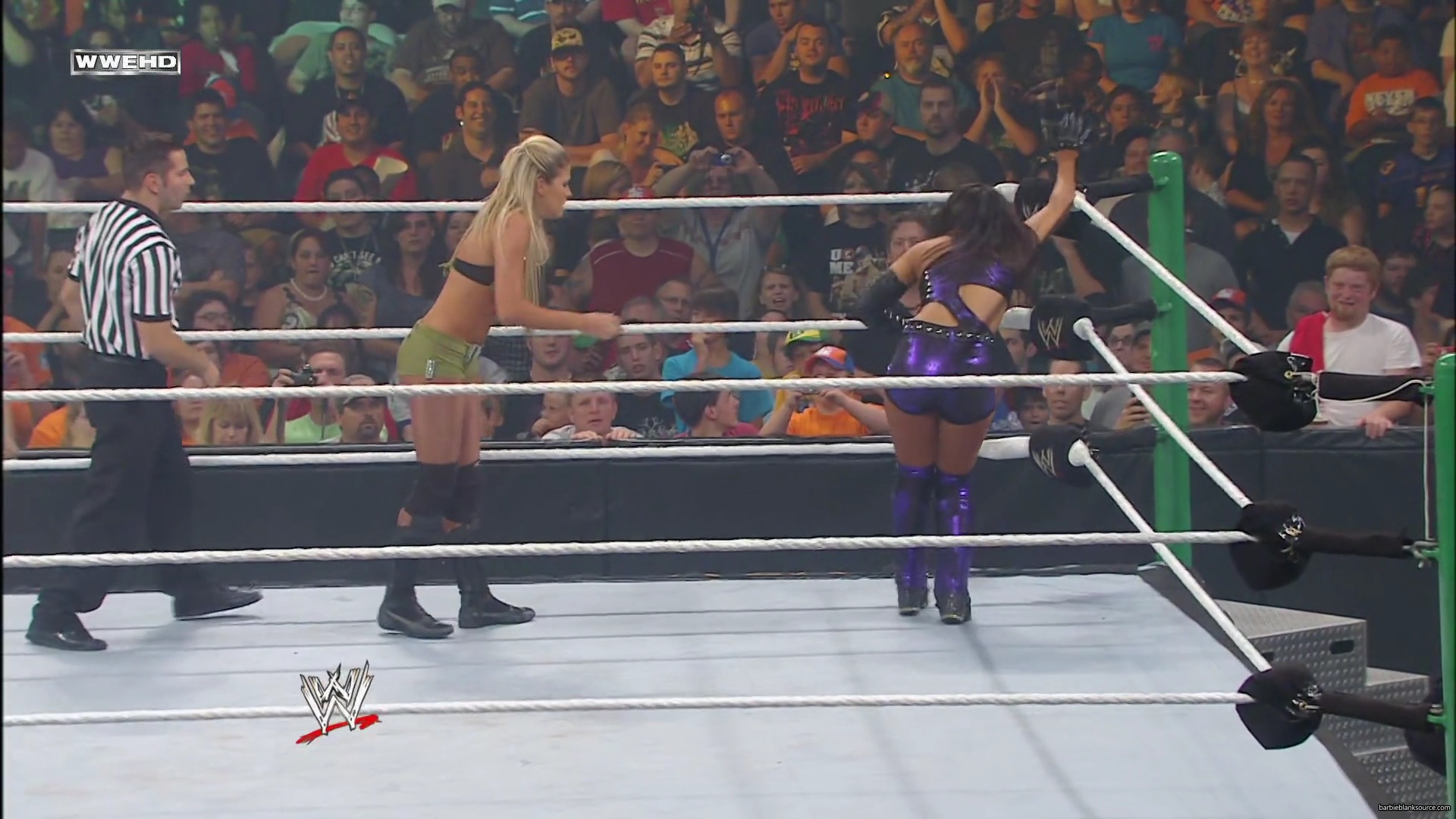 WWE_Money_In_The_Bank_2010_Kelly_vs_Layla_mp40519.jpg