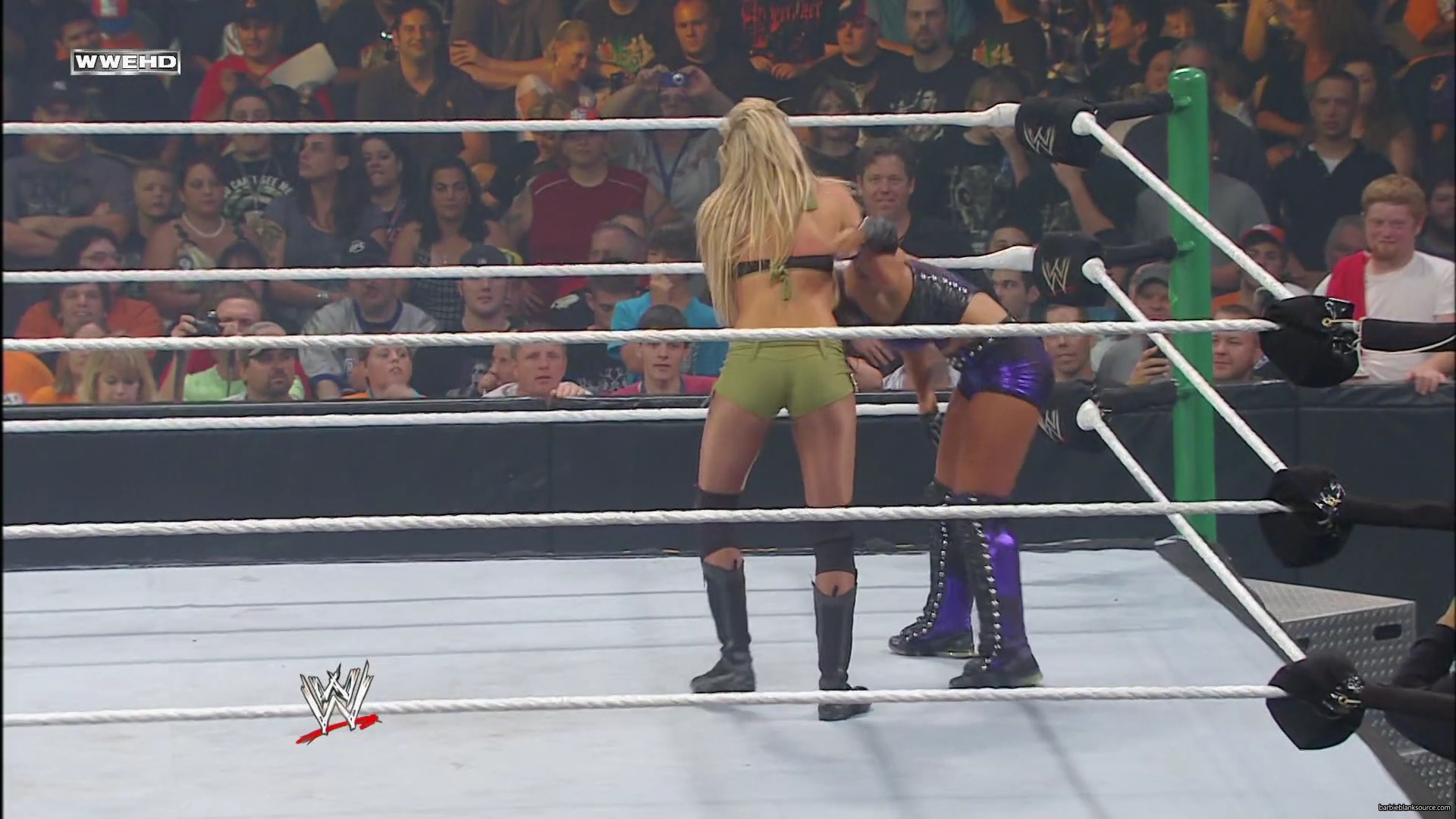 WWE_Money_In_The_Bank_2010_Kelly_vs_Layla_mp40522.jpg