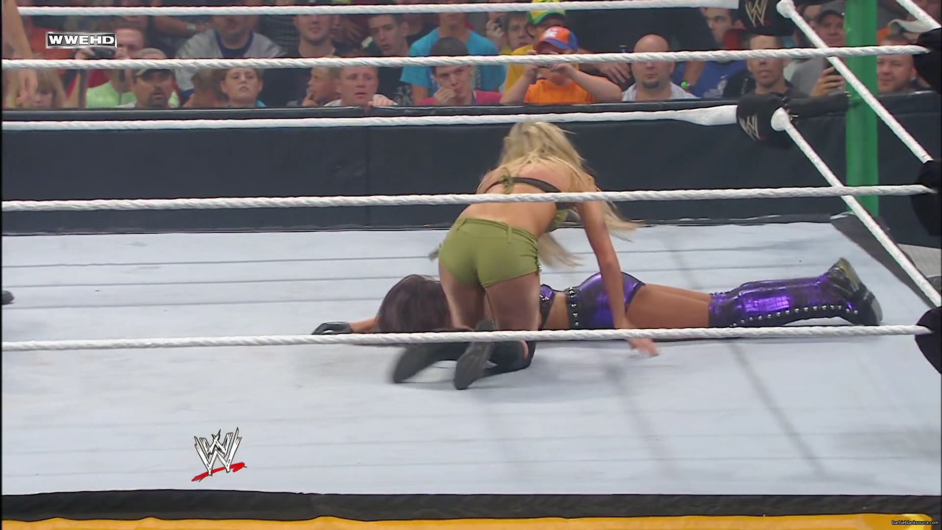 WWE_Money_In_The_Bank_2010_Kelly_vs_Layla_mp40526.jpg