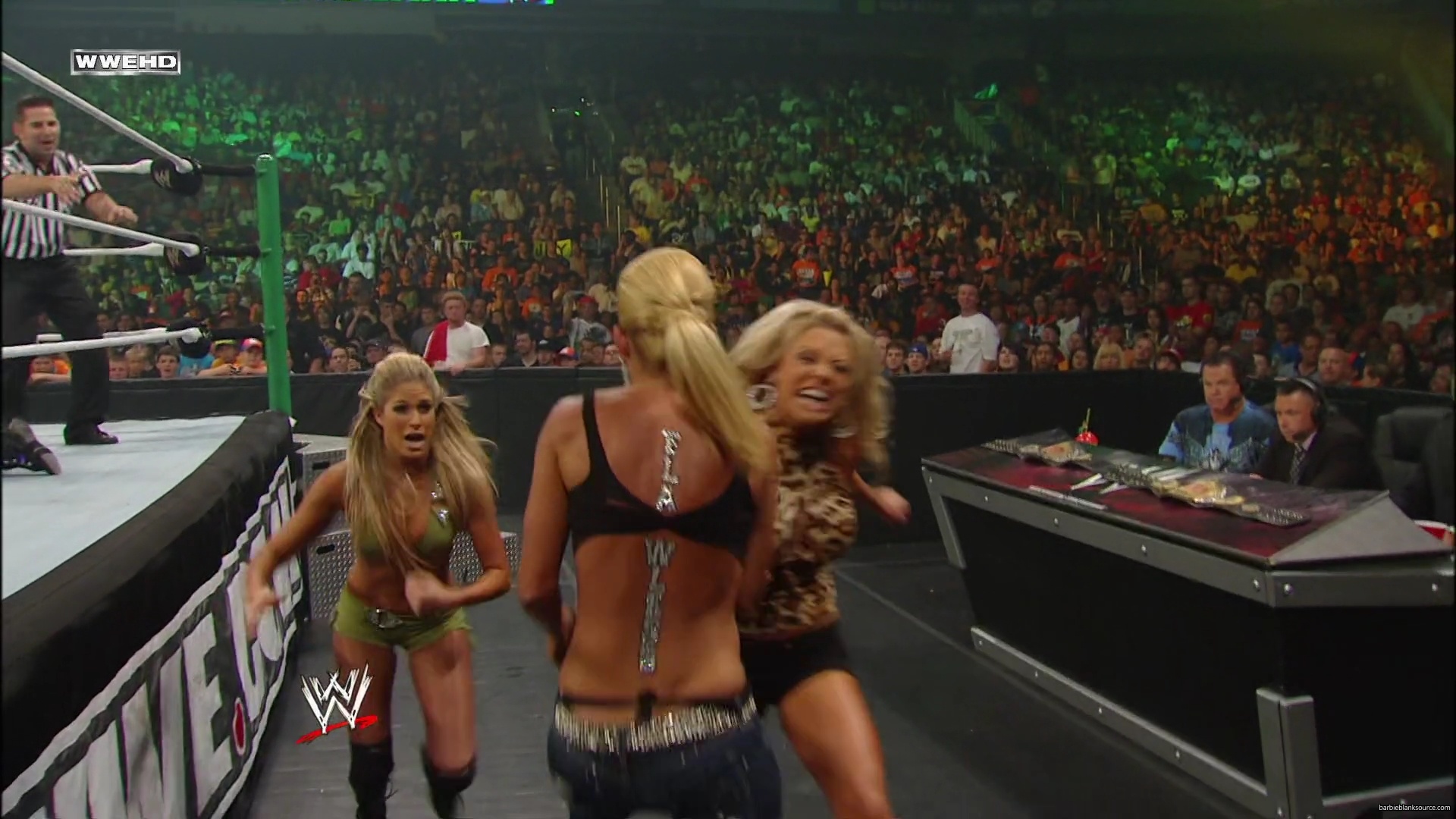 WWE_Money_In_The_Bank_2010_Kelly_vs_Layla_mp40540.jpg