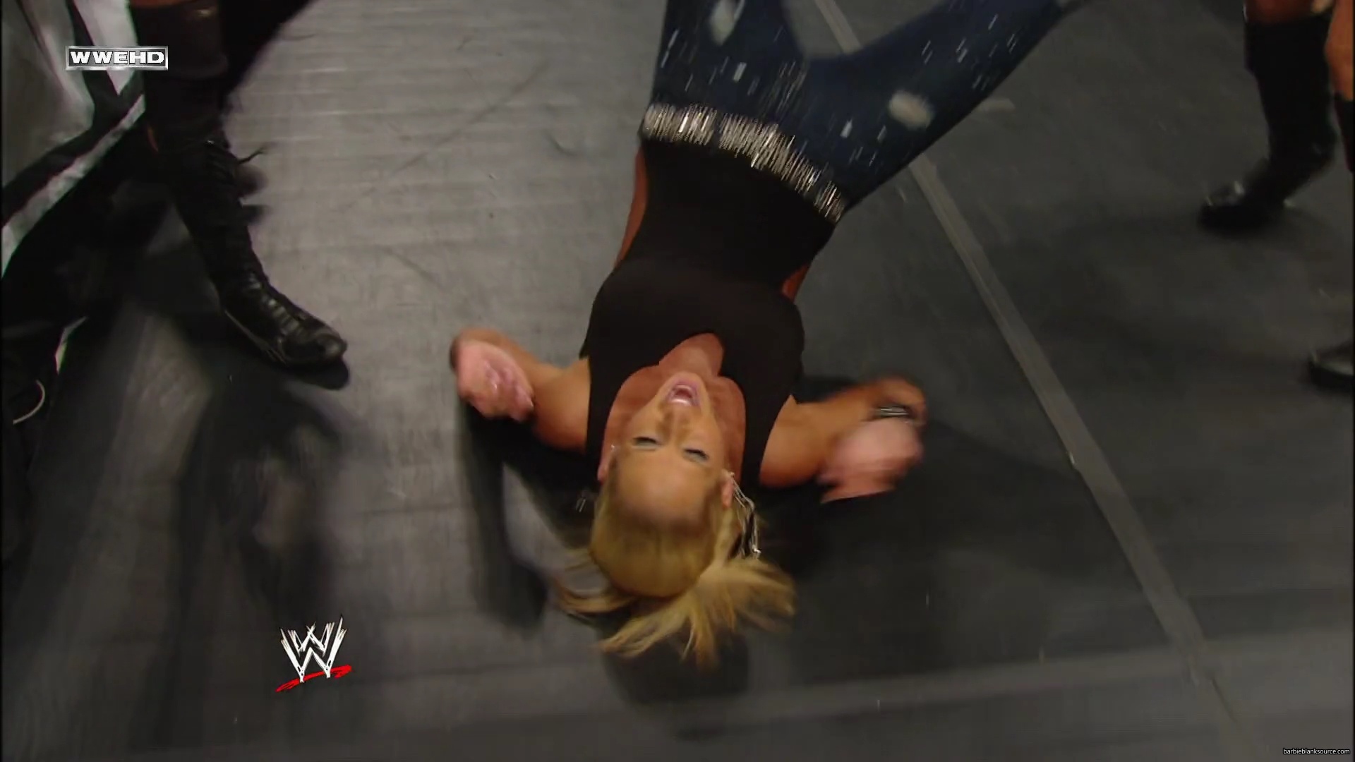 WWE_Money_In_The_Bank_2010_Kelly_vs_Layla_mp40541.jpg