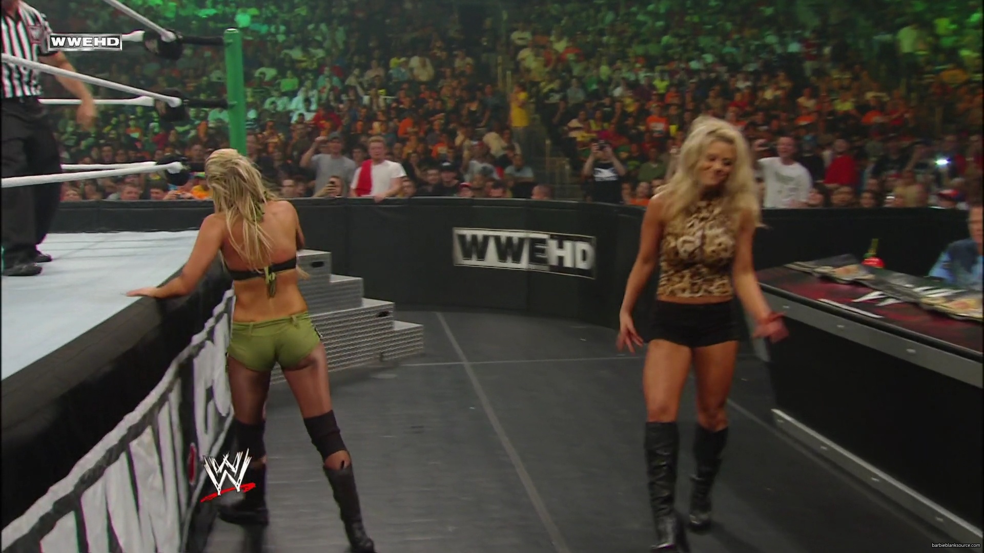 WWE_Money_In_The_Bank_2010_Kelly_vs_Layla_mp40544.jpg