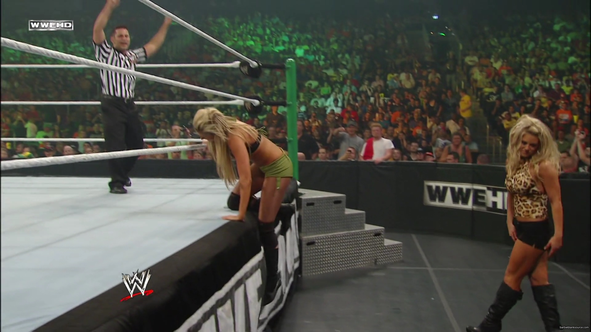 WWE_Money_In_The_Bank_2010_Kelly_vs_Layla_mp40545.jpg
